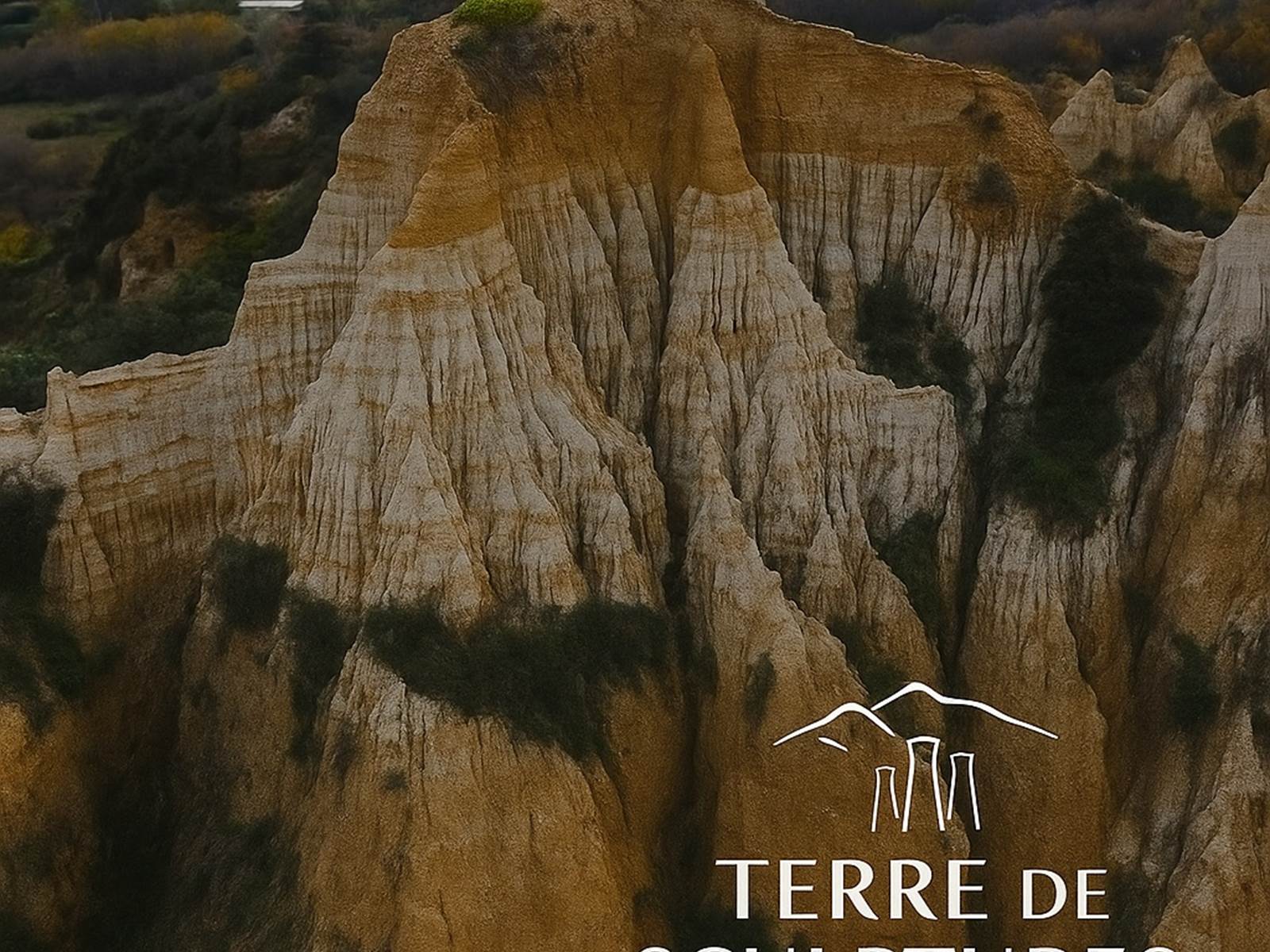 terre_de_sculptures_final-galerie
