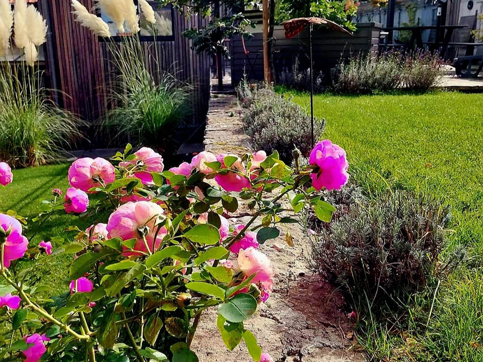 Screenshot_20240129_115920_Gallery-carousel