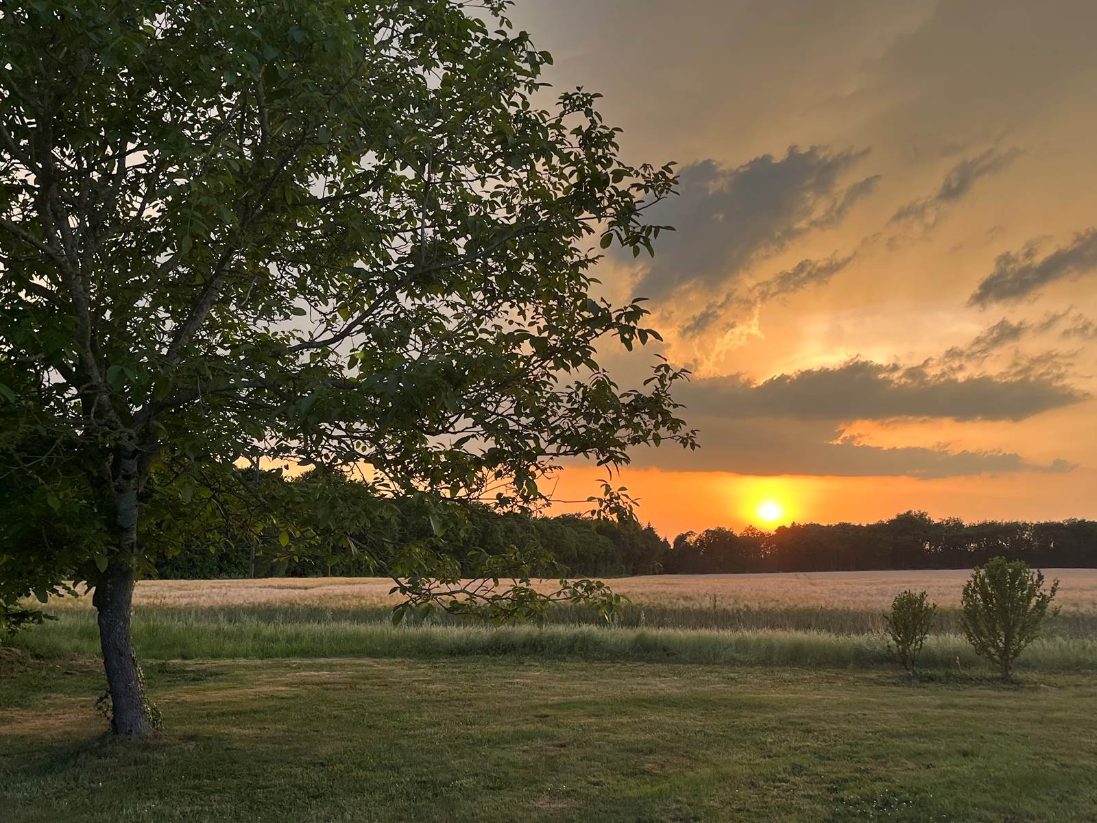 Maison d'hôtes et Gîte Tendance Campagne Coucher de soleil