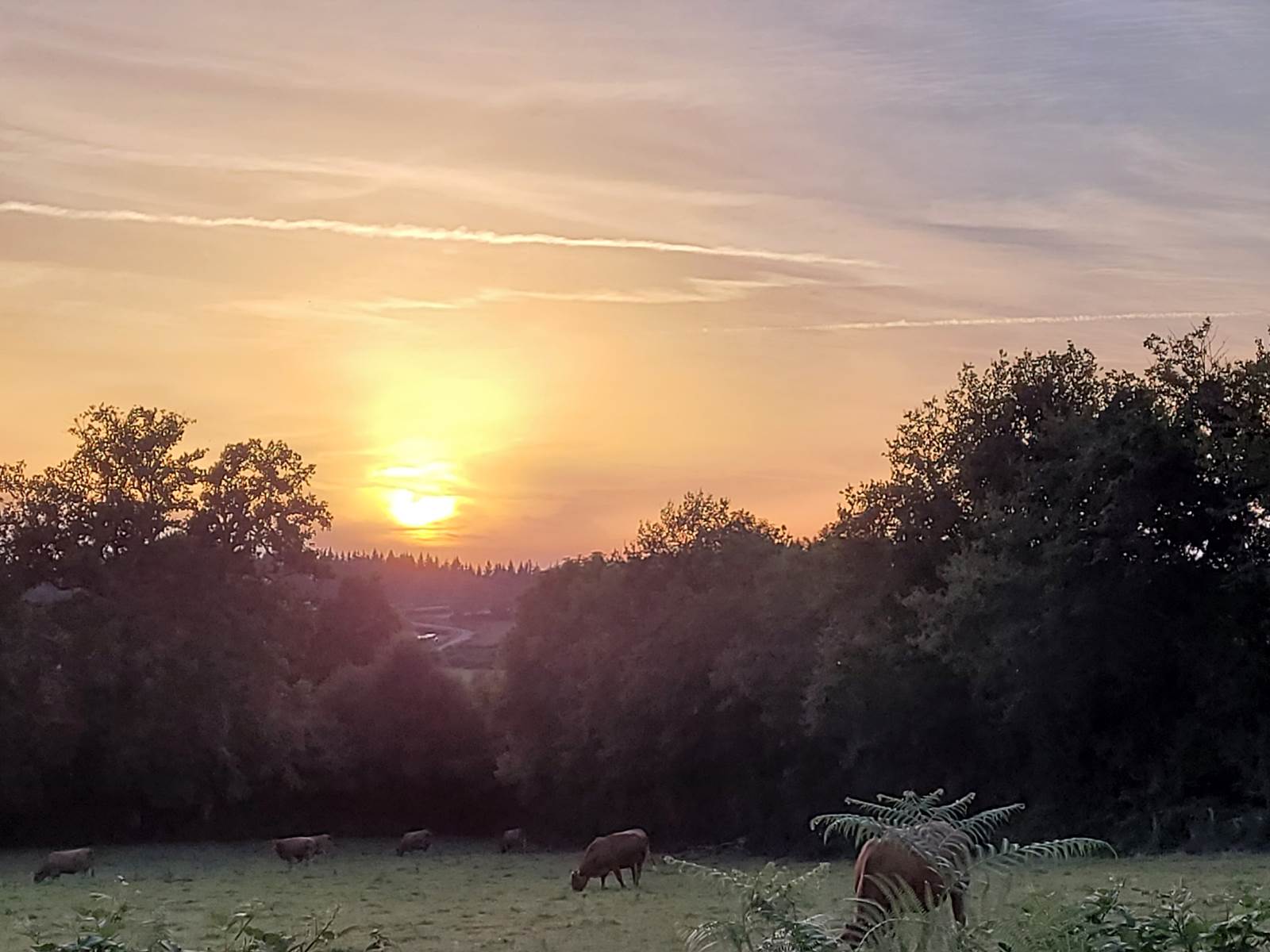 Coucher de soleil-carousel