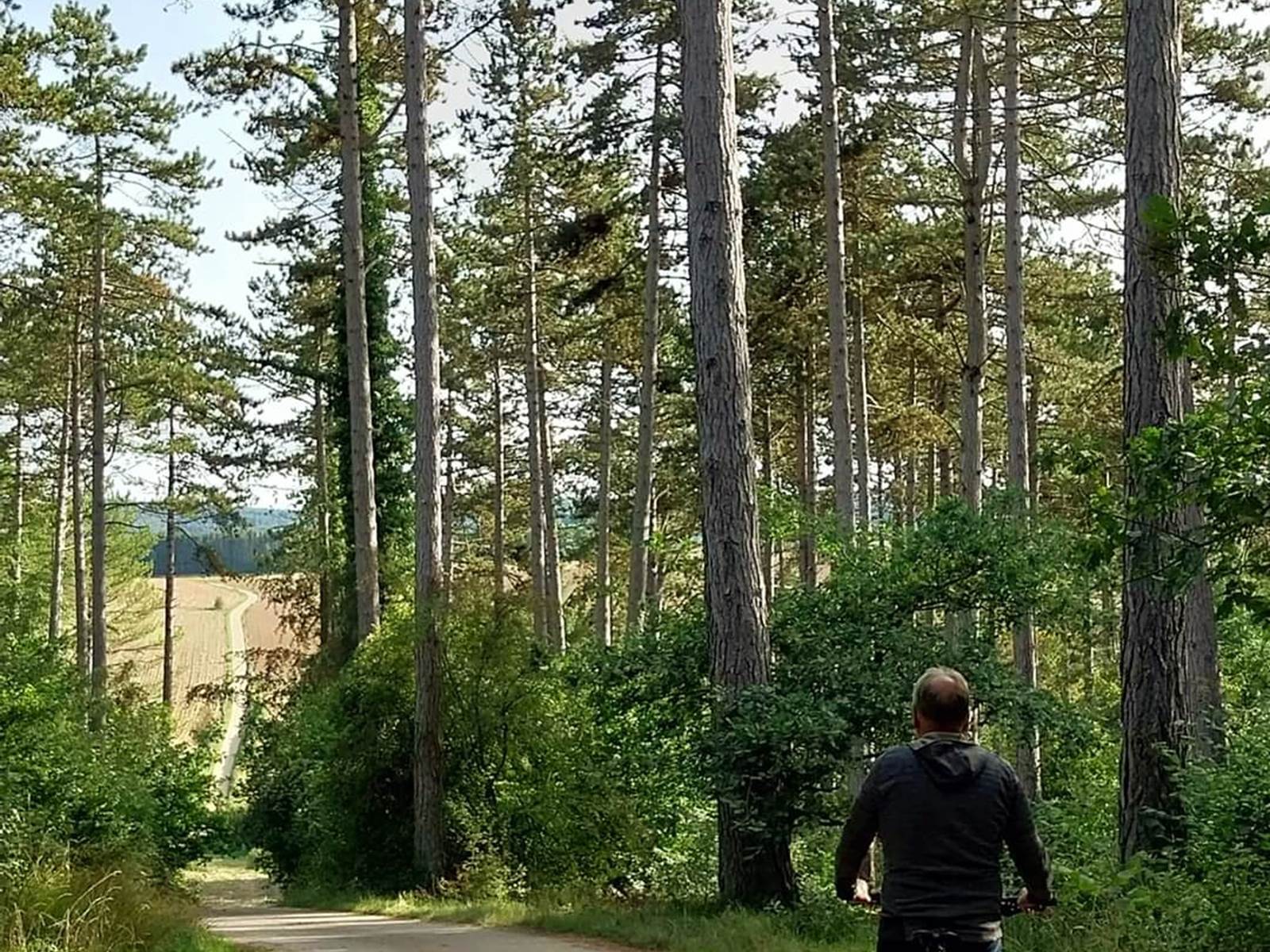 Chemin  campagnard-carousel