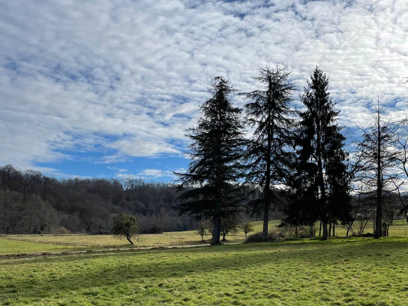 La vue depuis La Palomière-carousel