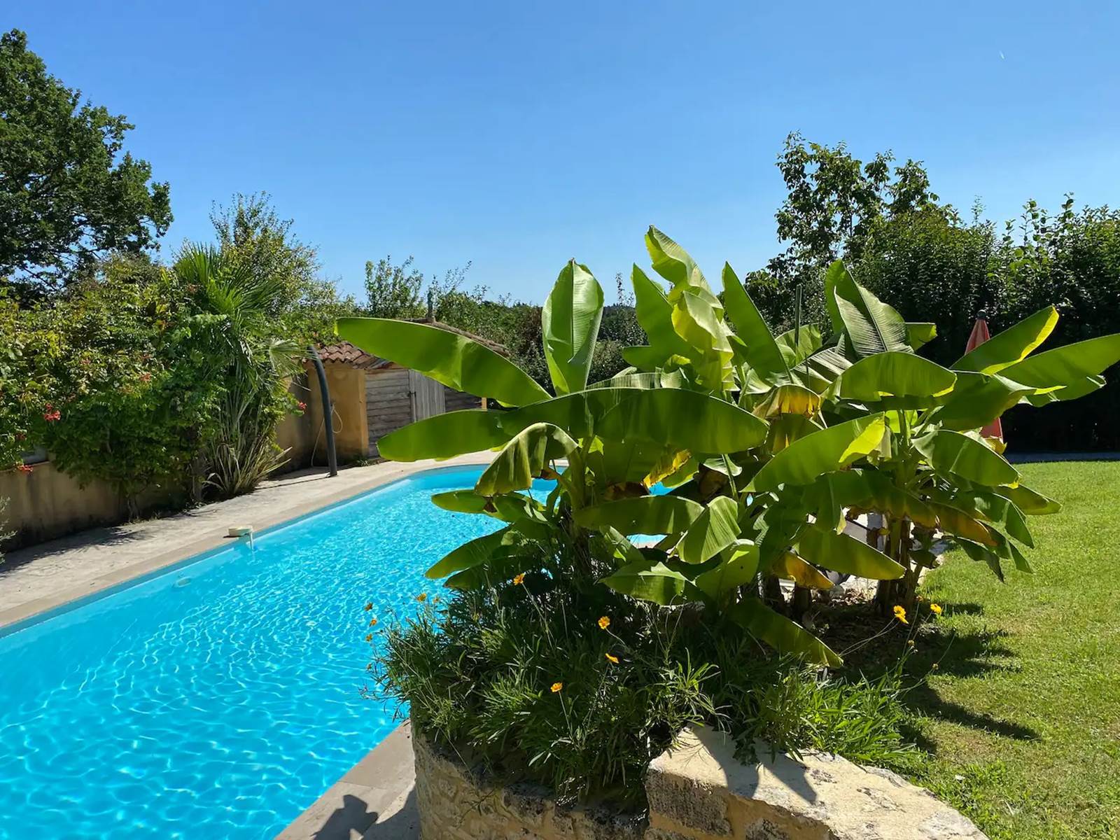 Piscine de 12m en plein soleil
