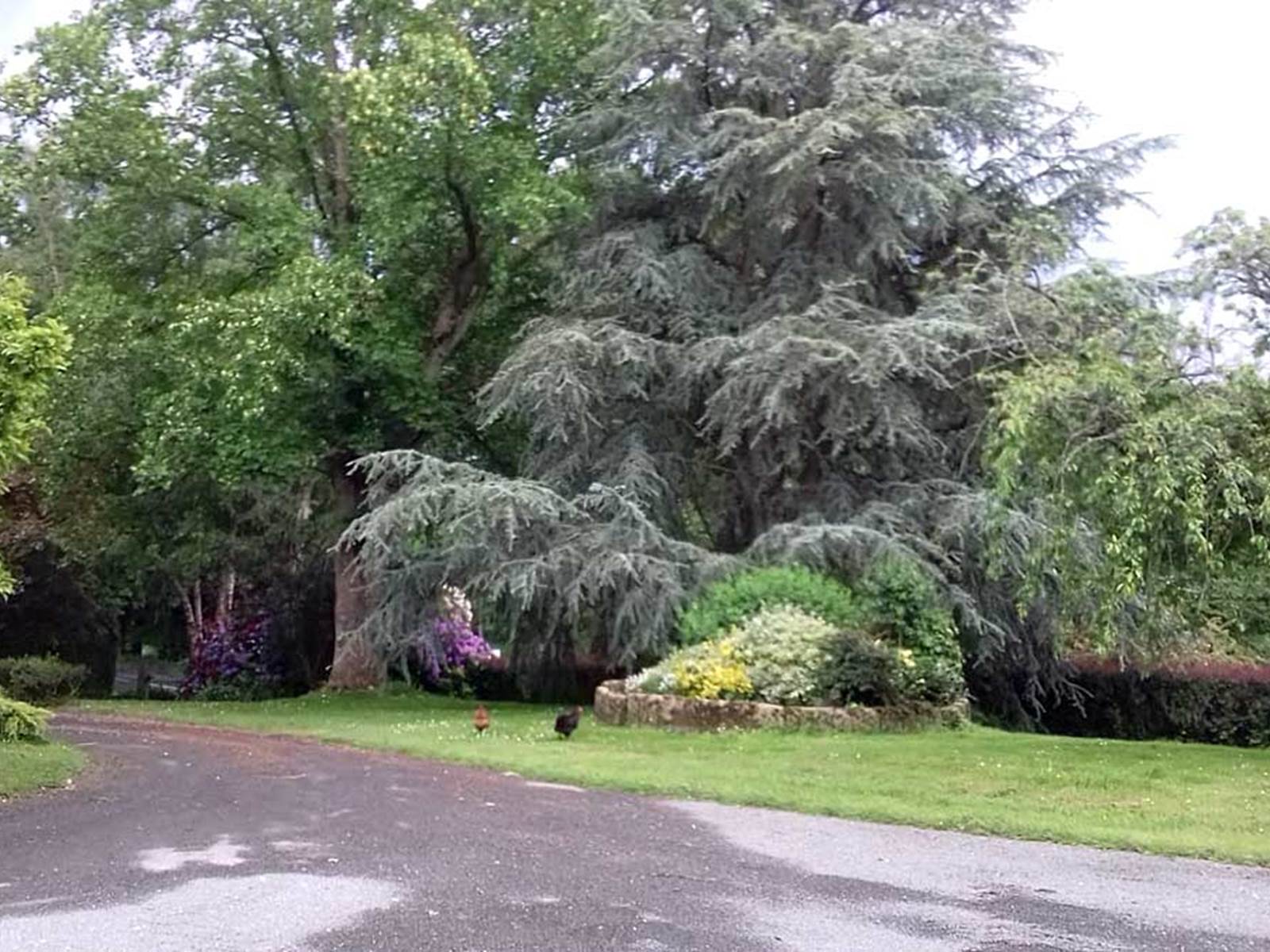 Chambre d'hôtes ferme la Gautraie Saint-James Normandie-carousel