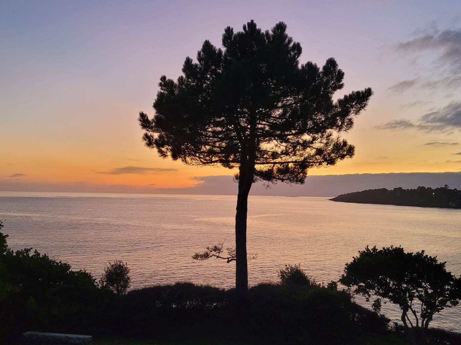 Kerfany les pins-carousel