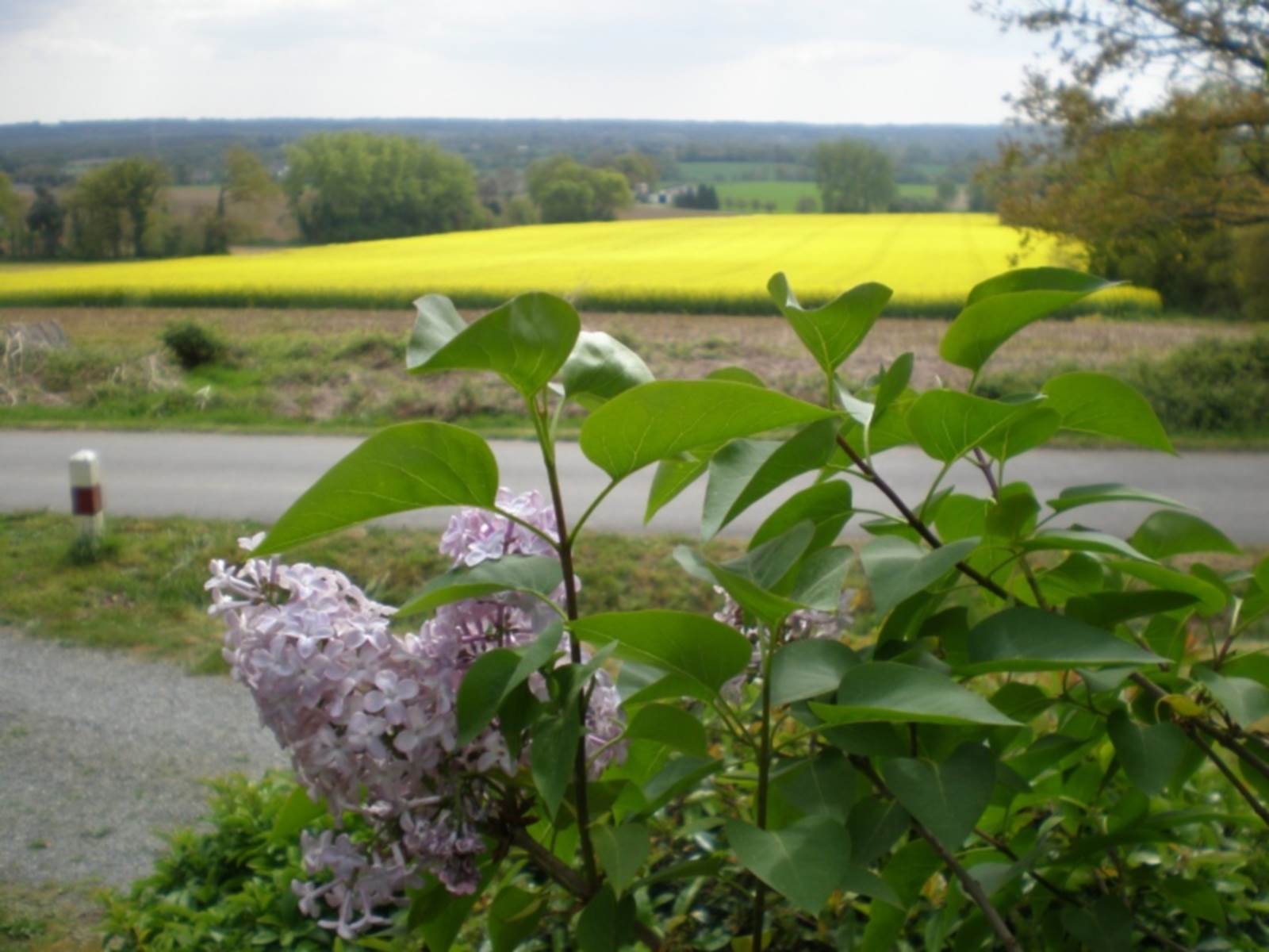 La vue du Gîte-carousel