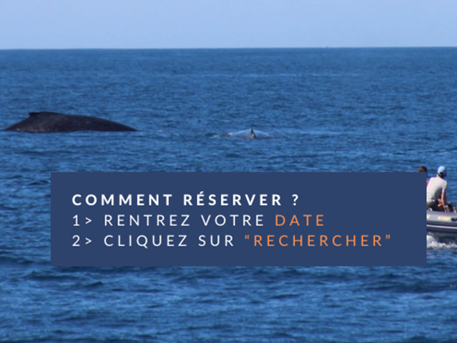 Capture d’e´cran 2025-06-02 a` 11.48.12-carousel