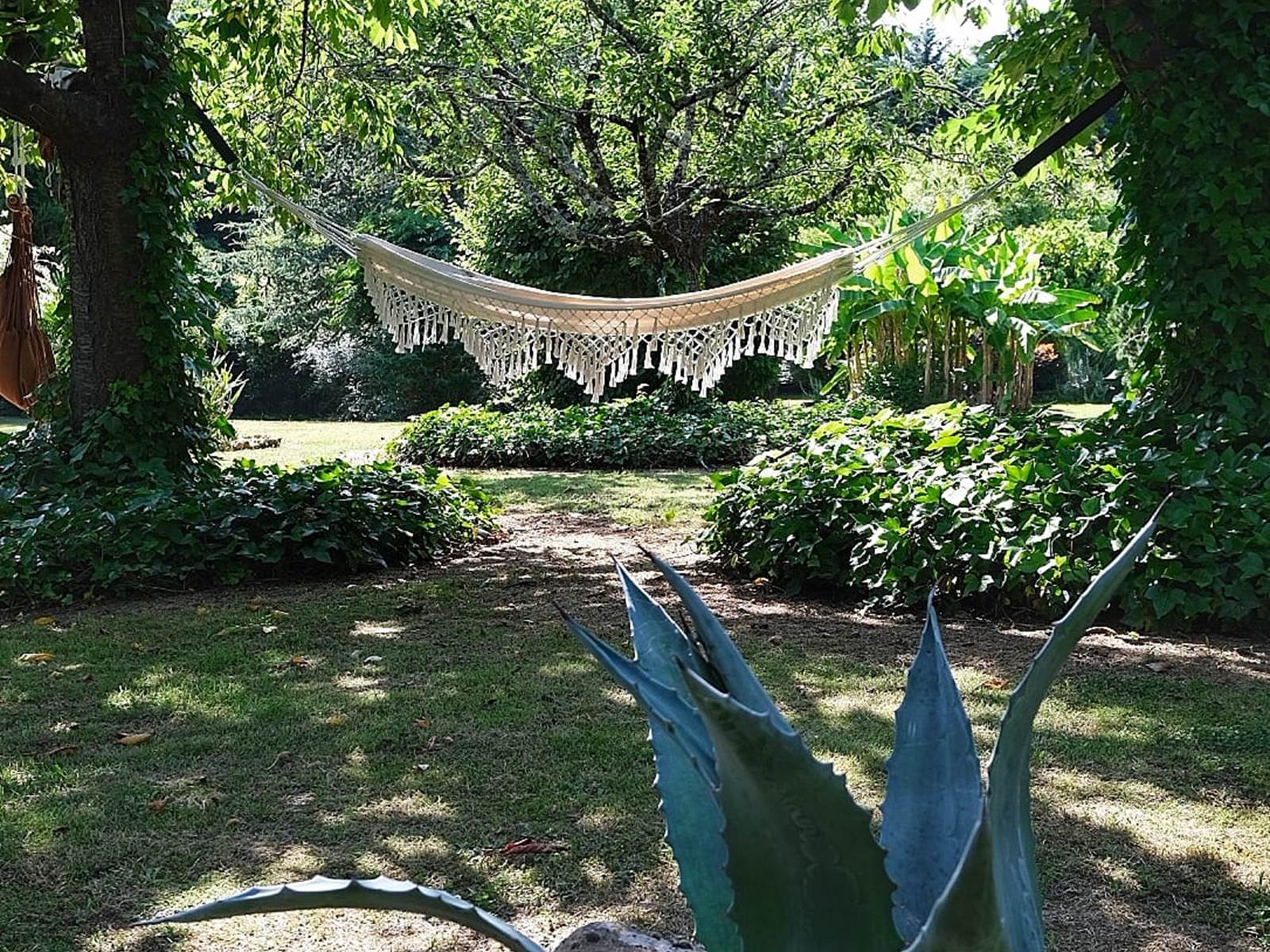 Coin détente dans le parc sous les cerisiers