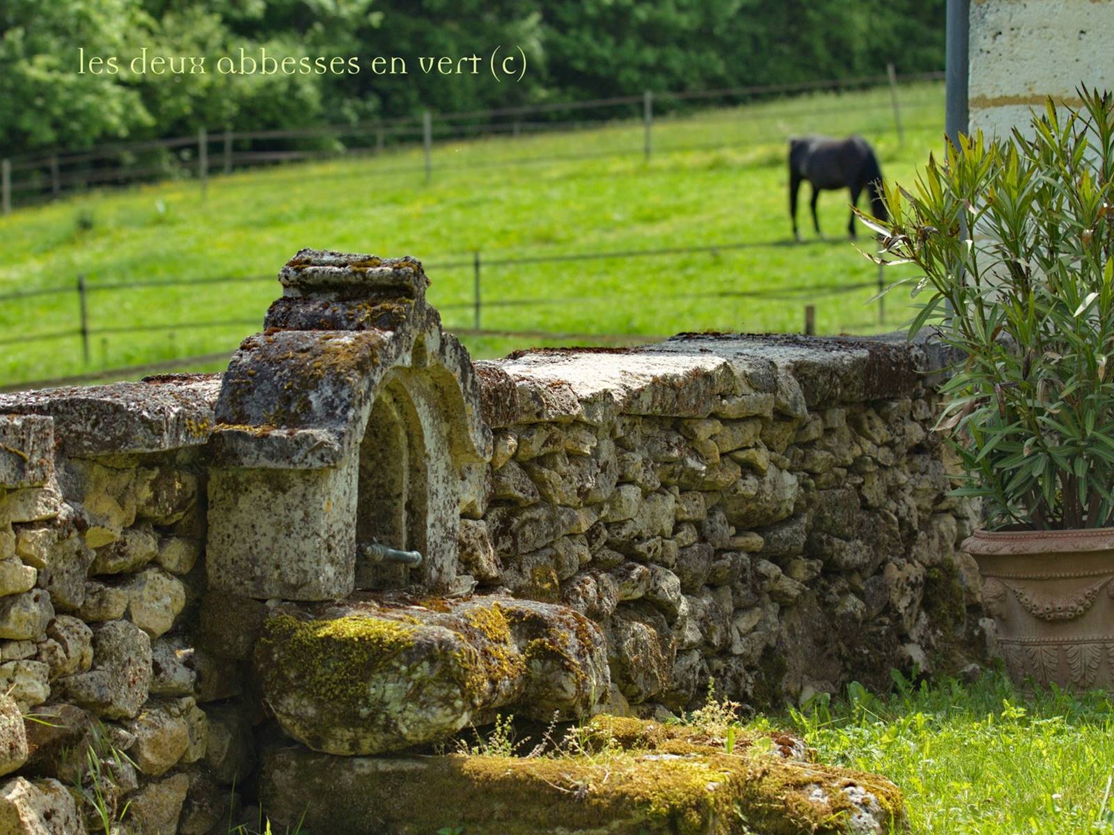 Arrivée à Malignac: la Grande Maison côté jardin