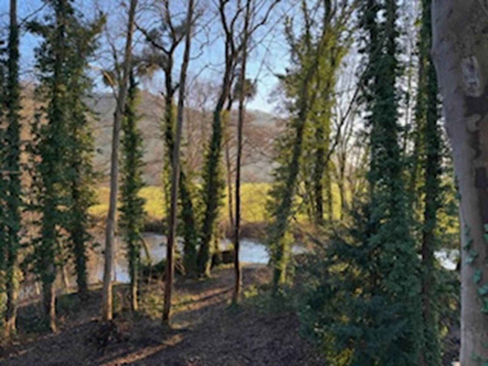 Vue du dôme