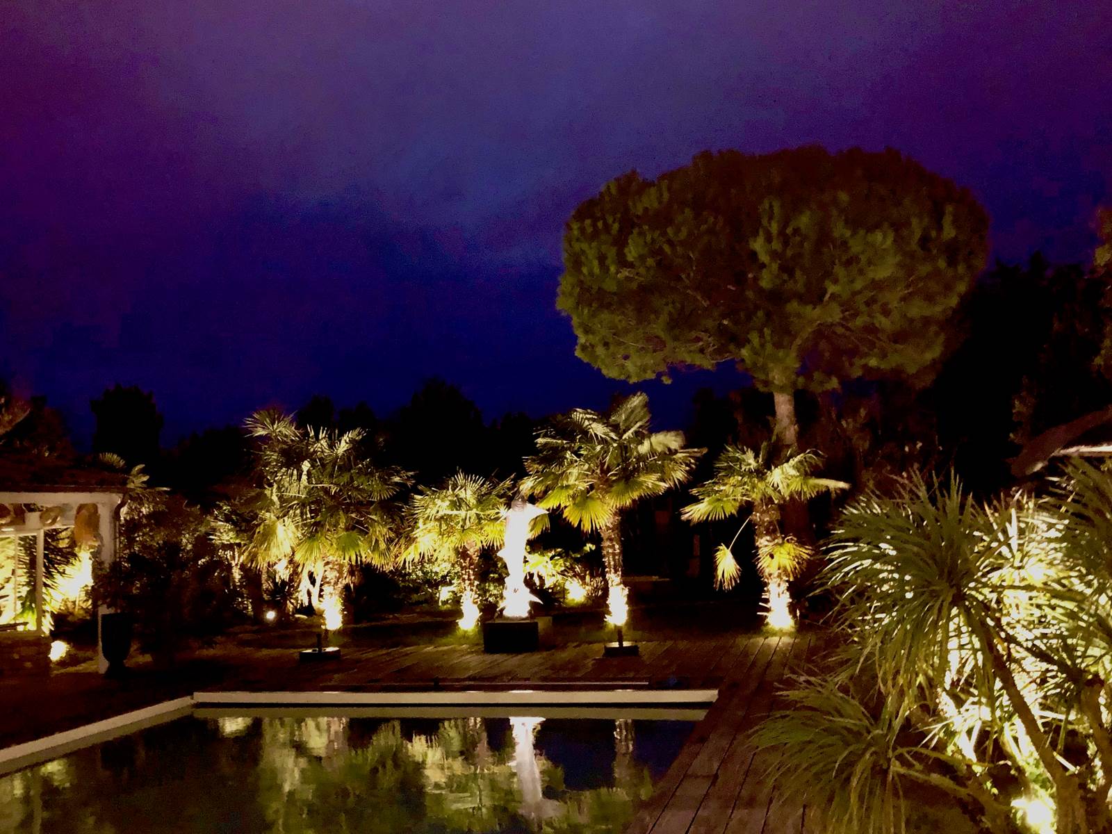 photo  jardin de nuit