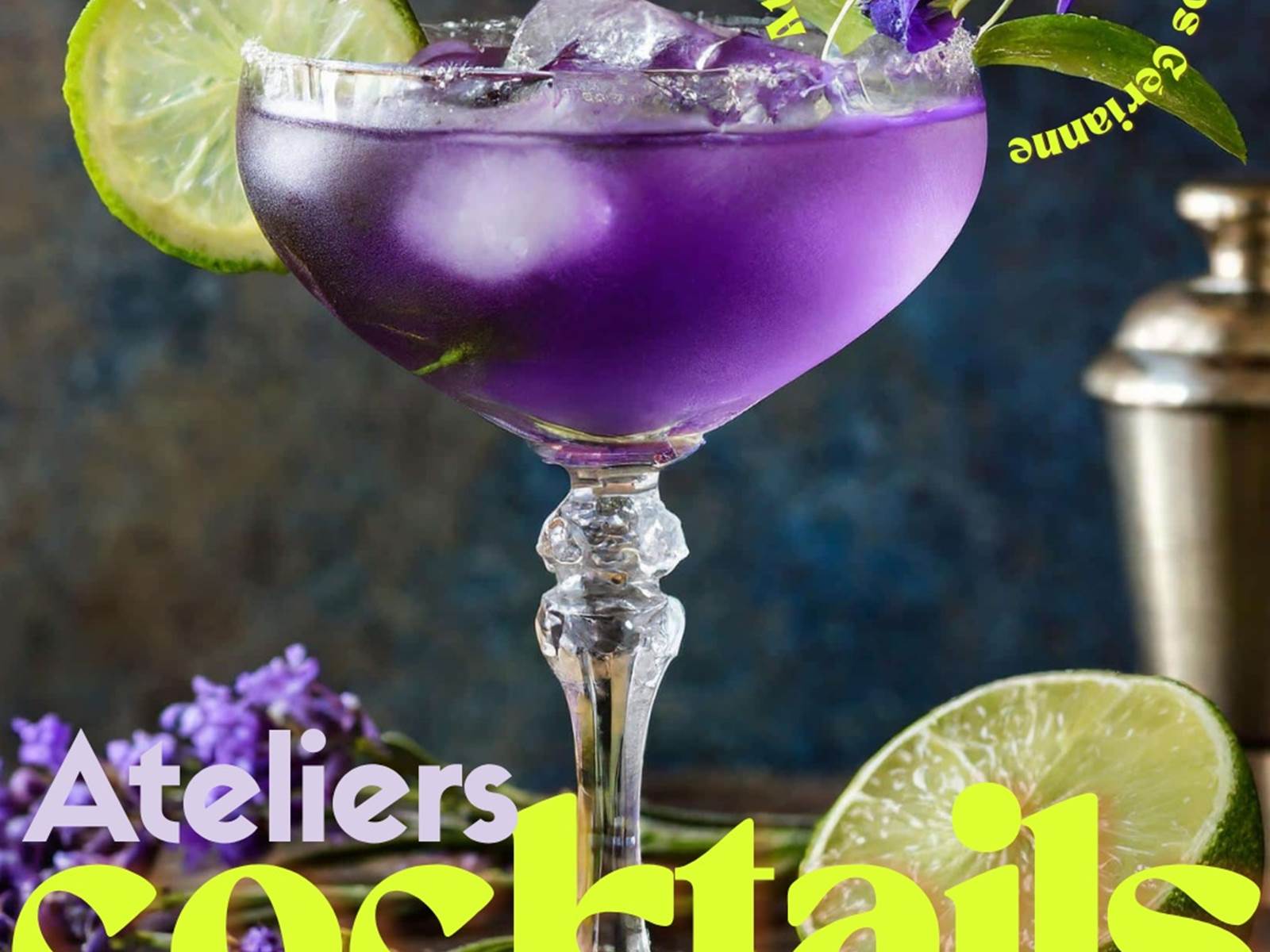 VISUEL ATELIERS COCKTAILS FORMAT PHOTO