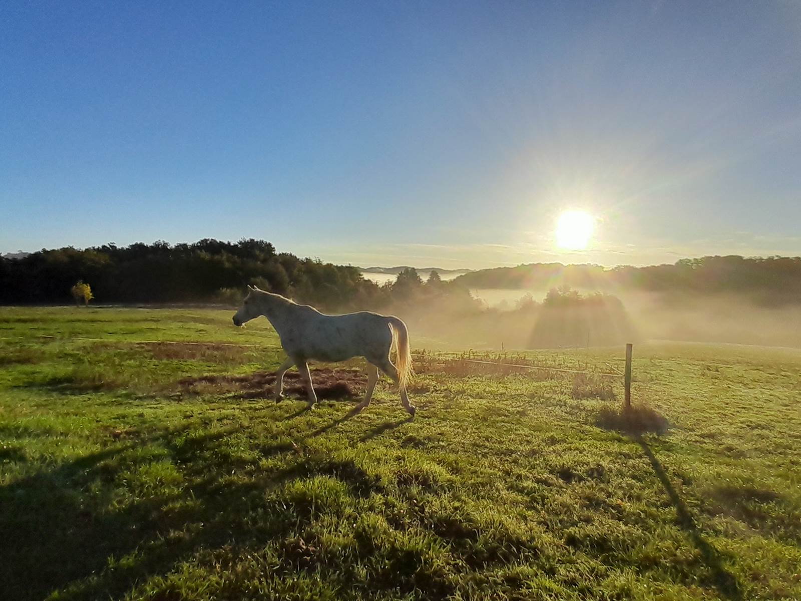Domaine_de_Calabel©_Pouylebon_vacances_piscine_gers-carousel