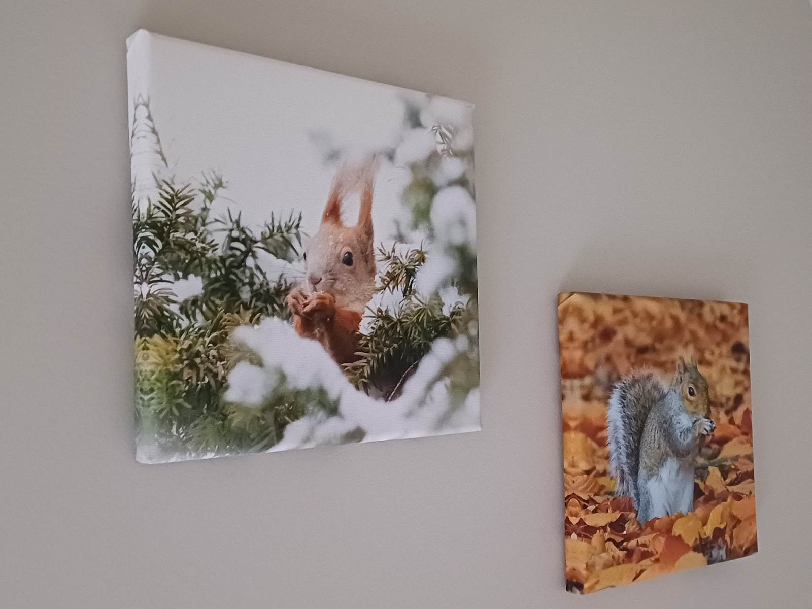 20241013_092829-carousel