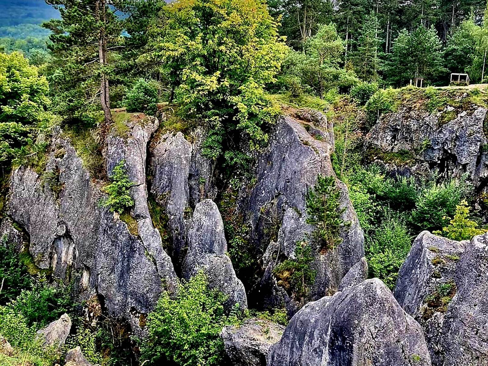 Fondry des Chiens-carousel