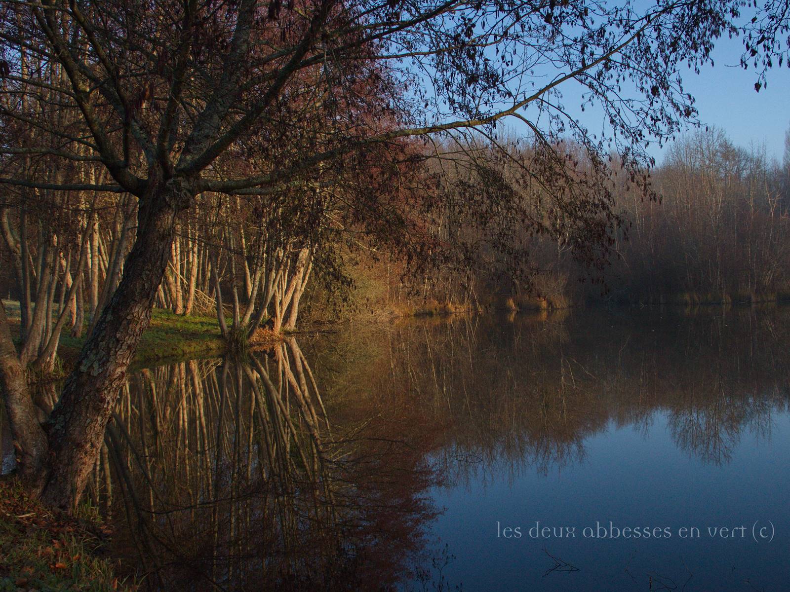 Le matin vue de la cour
