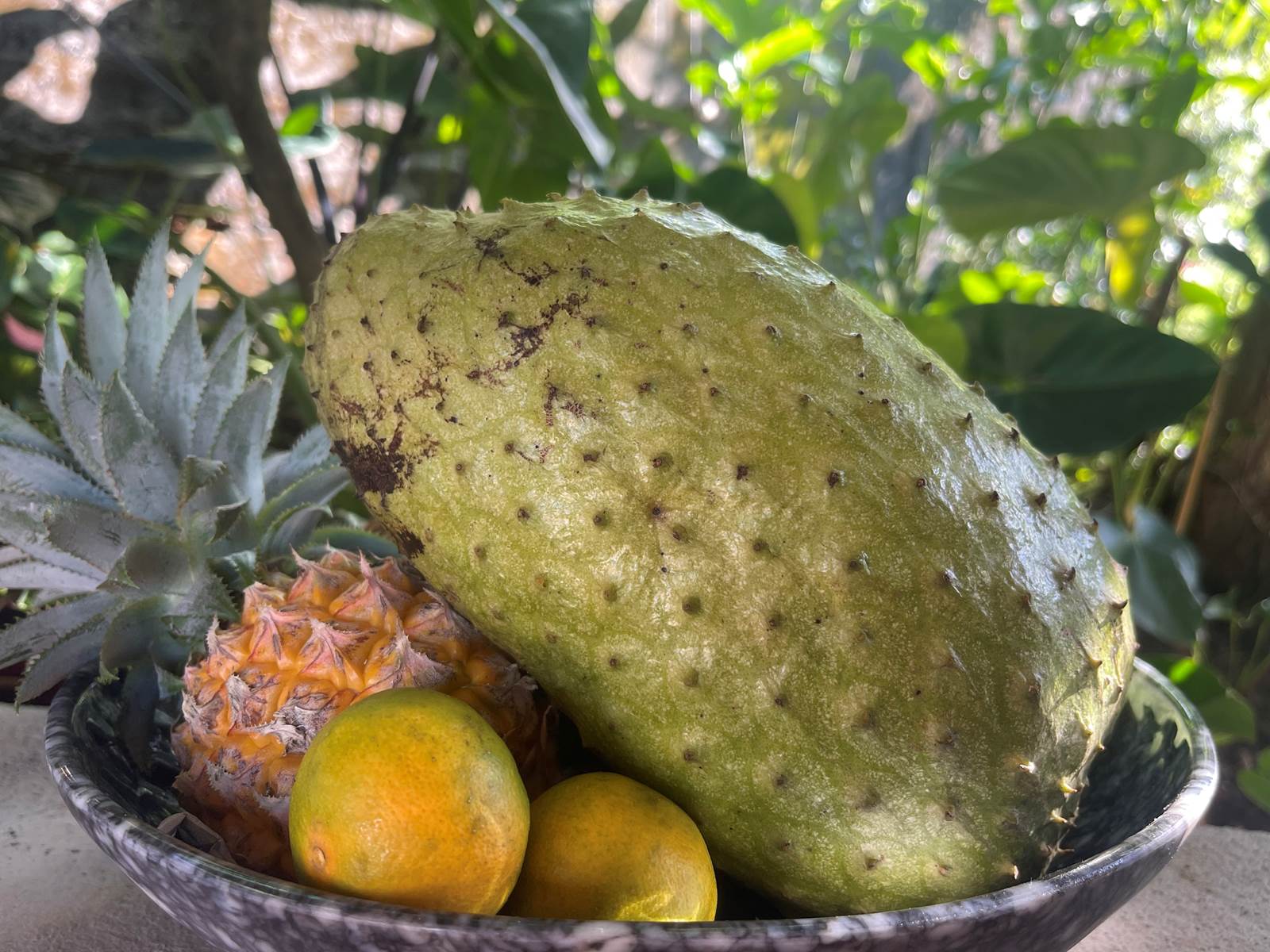 Petit déjeuner à base fruits frais du jardin