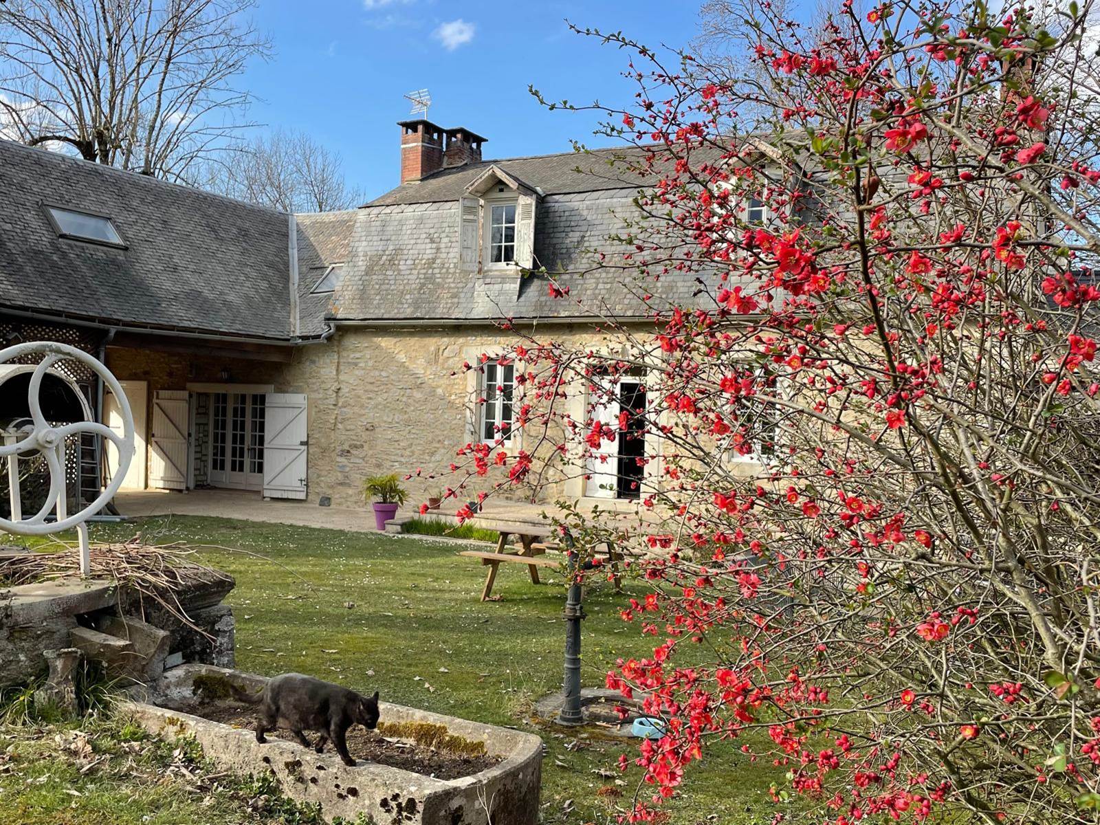 Le printemps arrive!-carousel