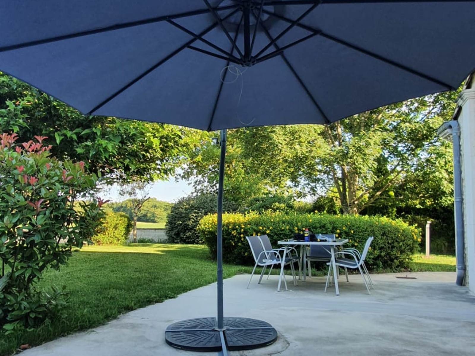 Terrasse Eucalyptus-carousel