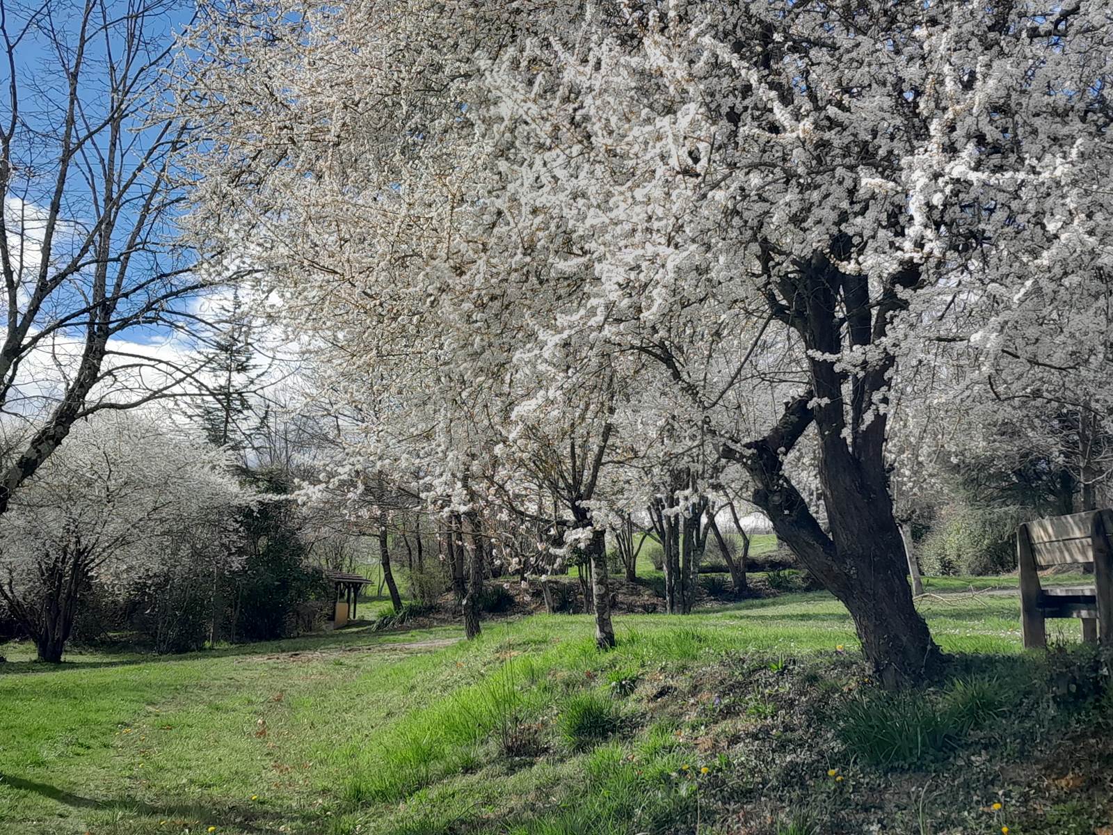 Domaine_de_Calabel©_Pouylebon_vacances_piscine_gers-carousel