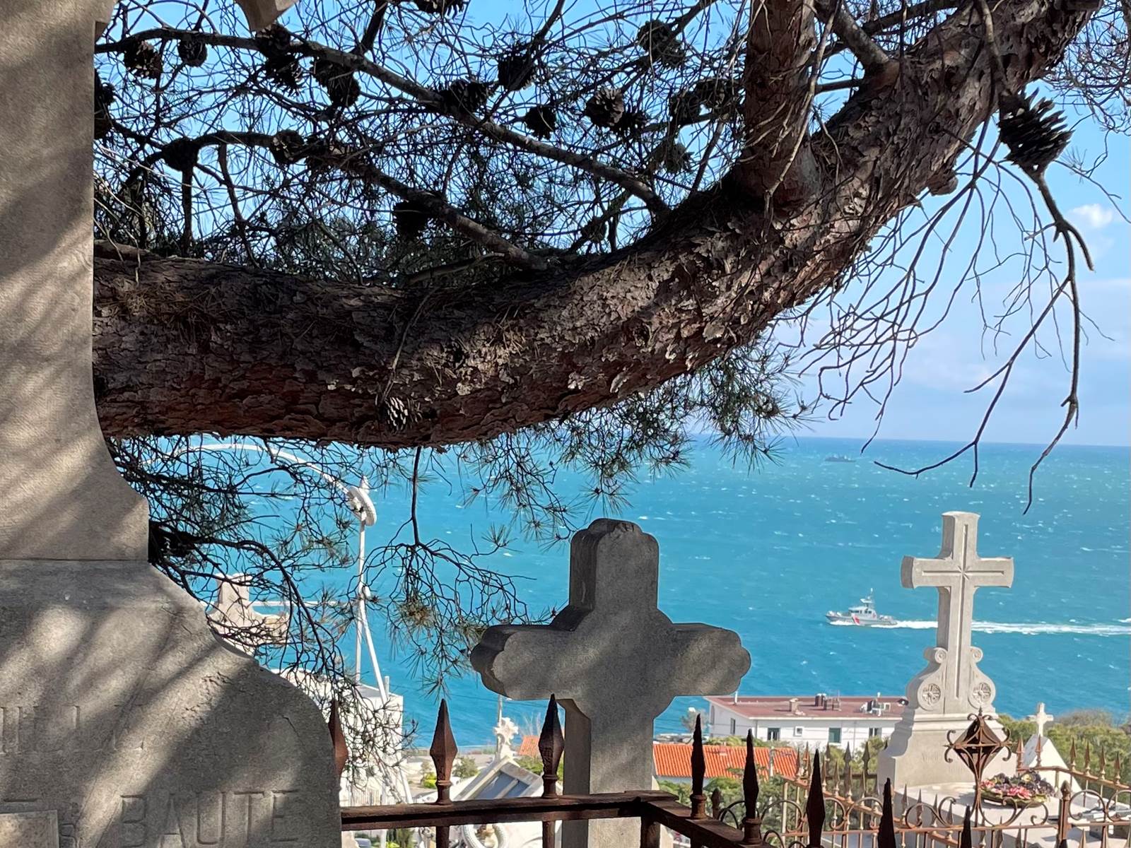 Beauté...Nom prémonitoire-carousel