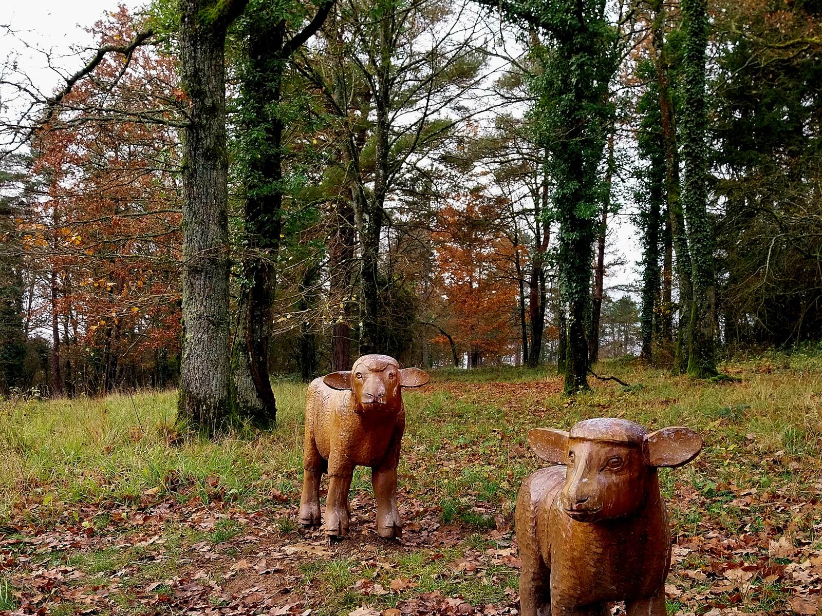 Fondry des Chiens-carousel