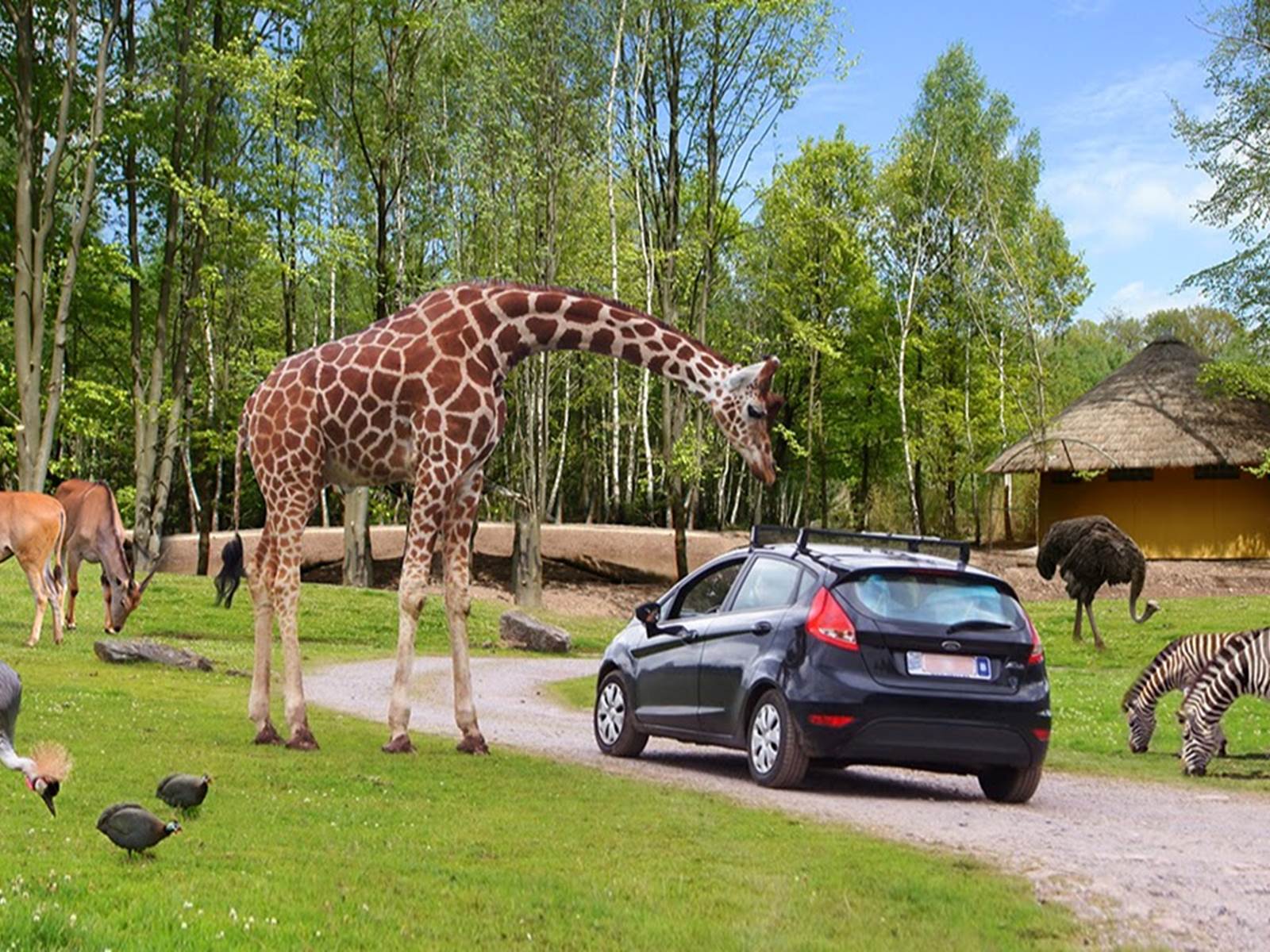 Belle journée à passer au Monde Sauvage d'Aywaille