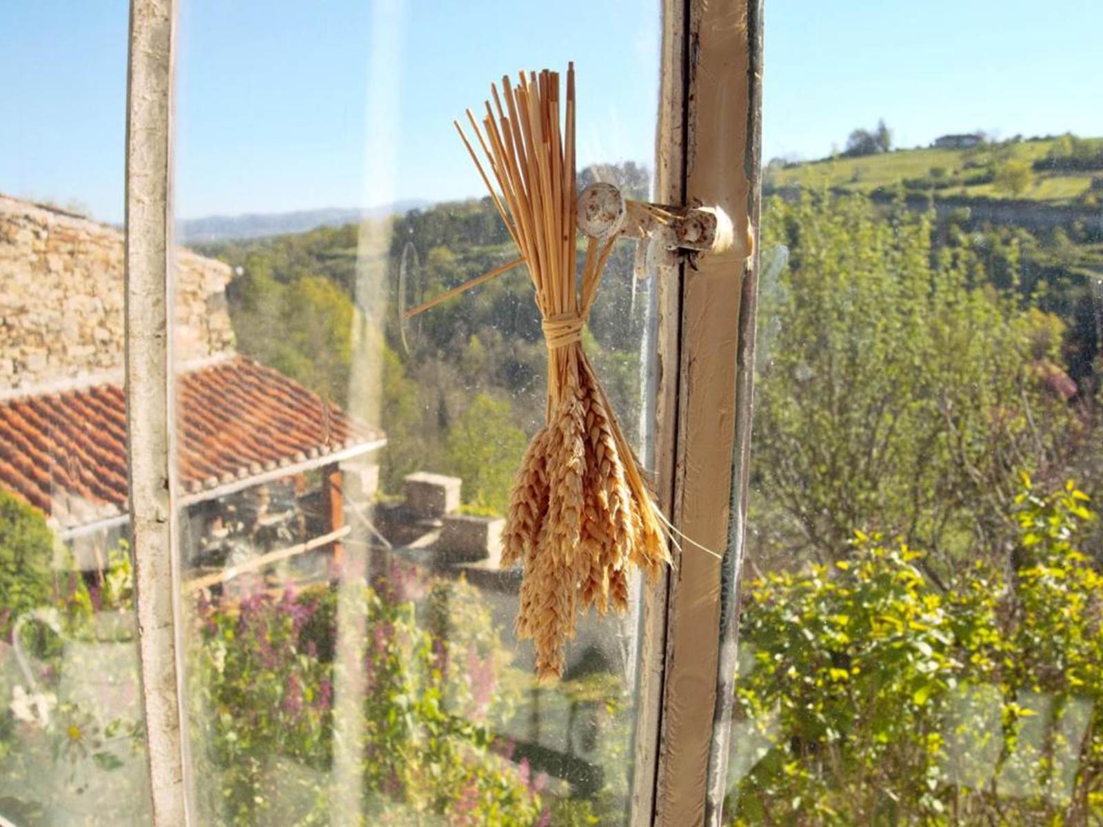 ERMITAGE SAINT-VINCENT - Vue depuis la verrière-carousel