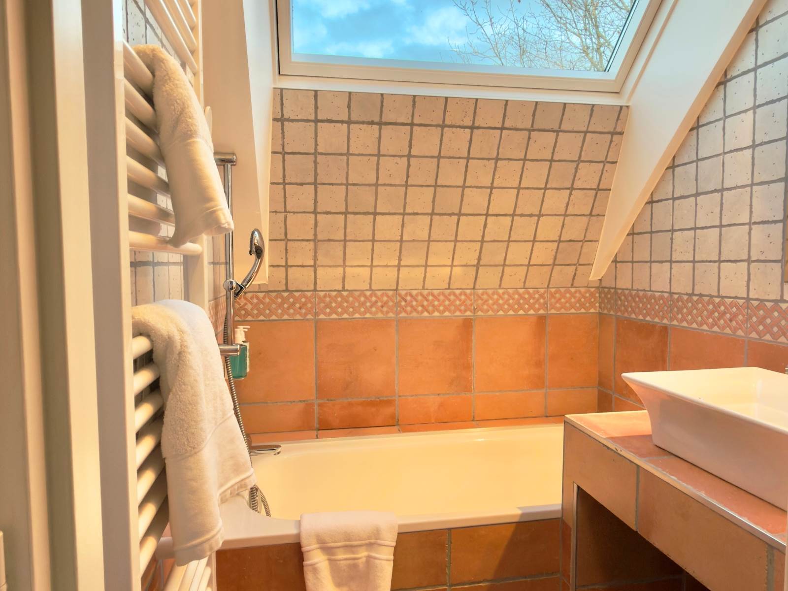 Privilège_Salle de bain