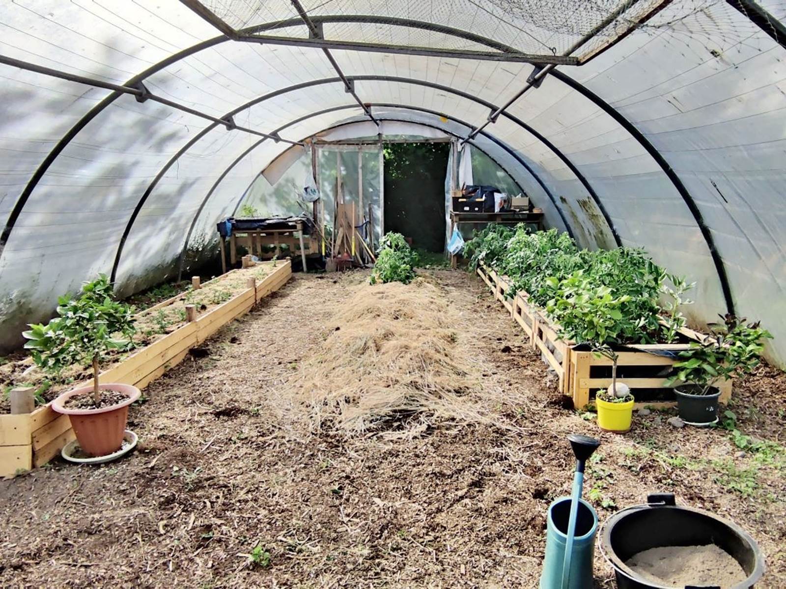 serre maison d'hôtes bien être spa morbihan bretagne séjour repos détente sommeil anti stress burn out cure ayurvédique