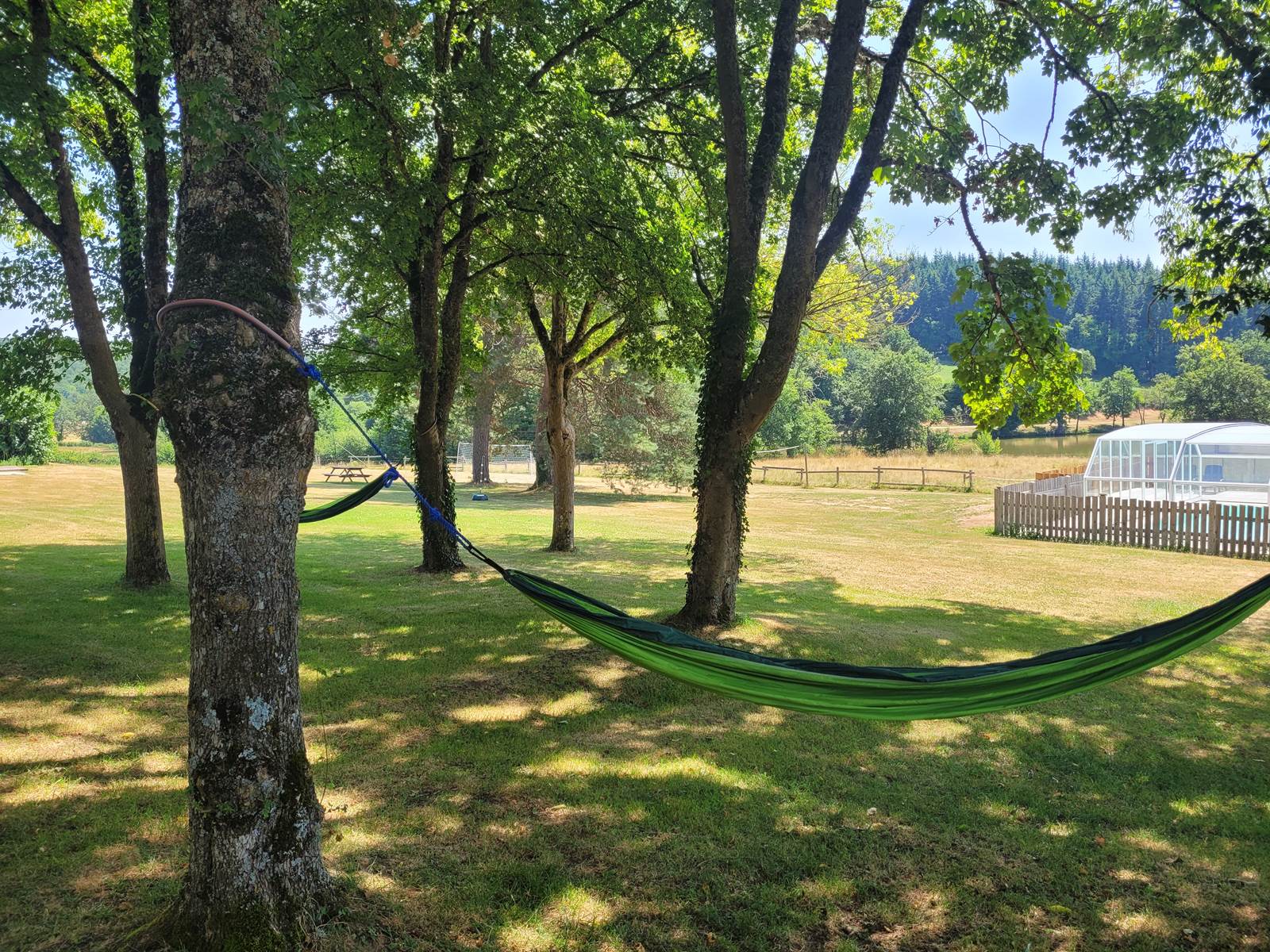 A l'ombre des arbres-carousel