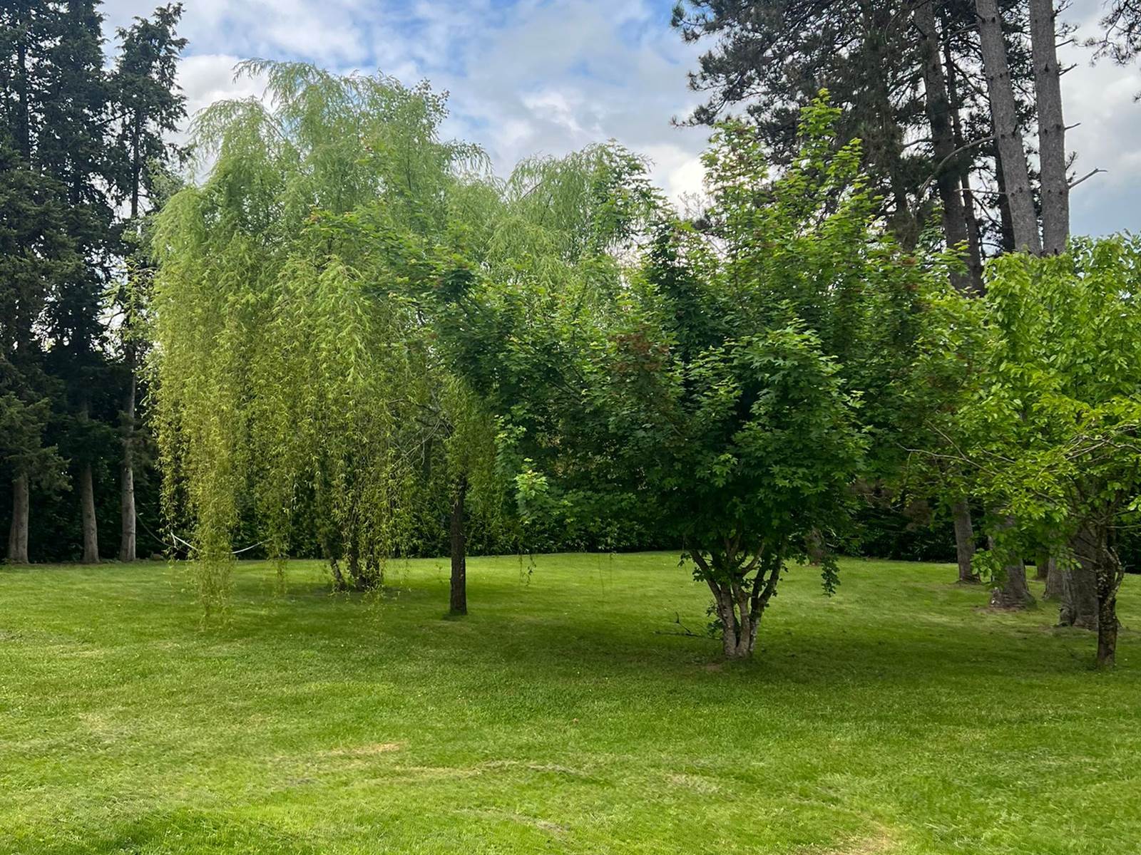 Vue Jardin arboré 3