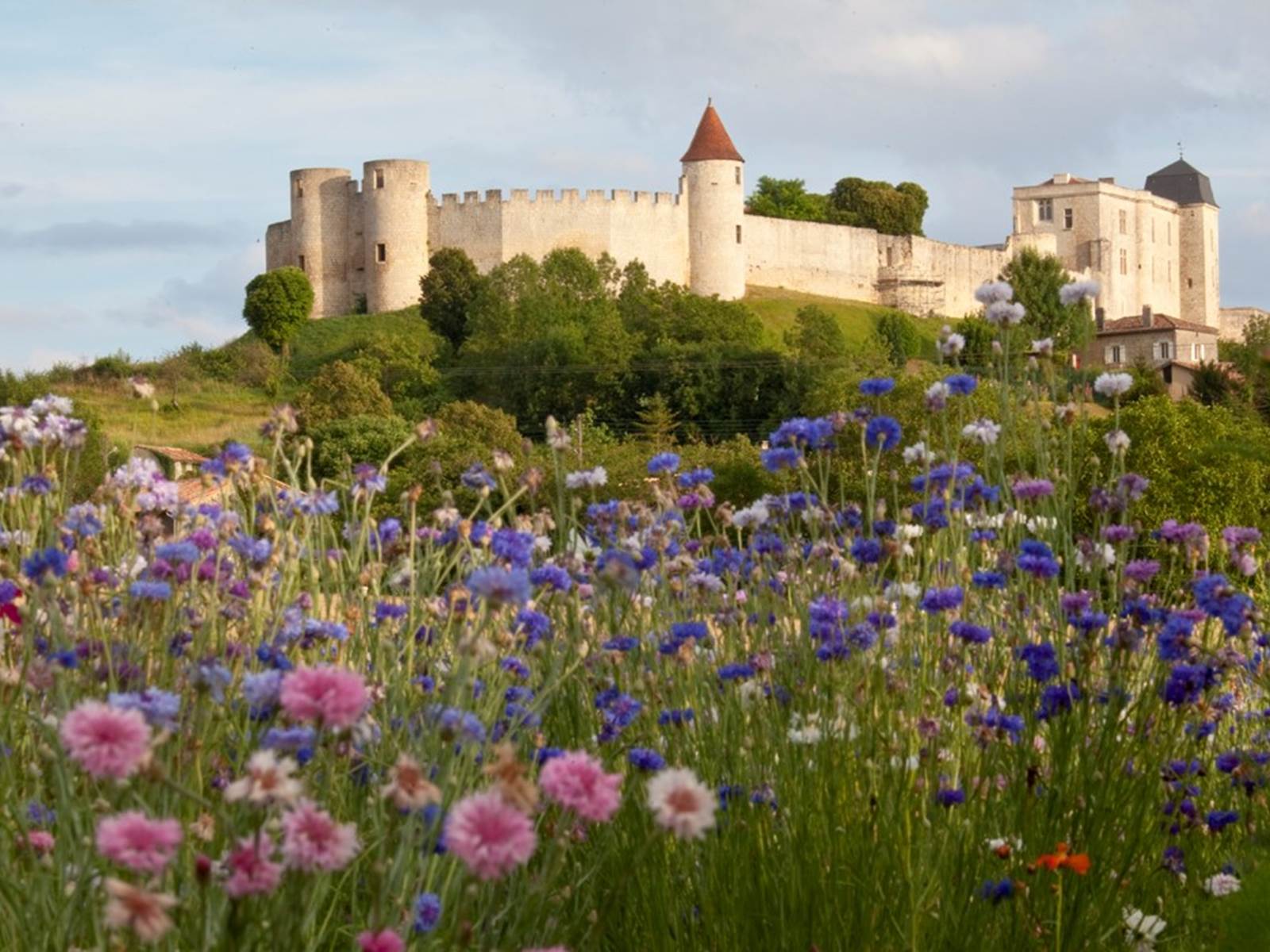Chateau-de-Villebois-Lavalette-carousel