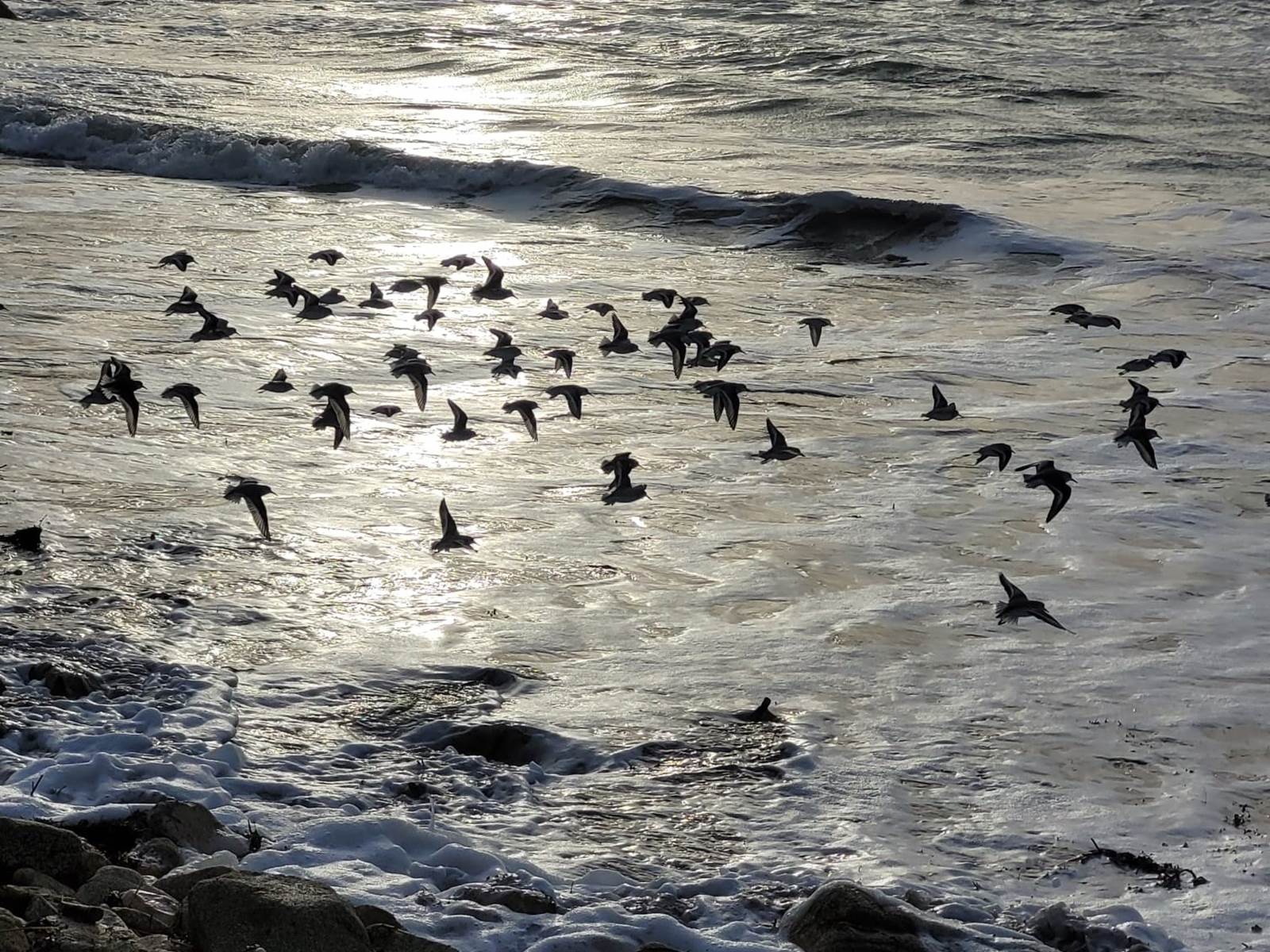 Fort bloqué-carousel