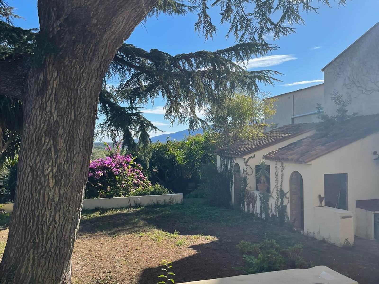 La Bastide du Cèdre-cazotte