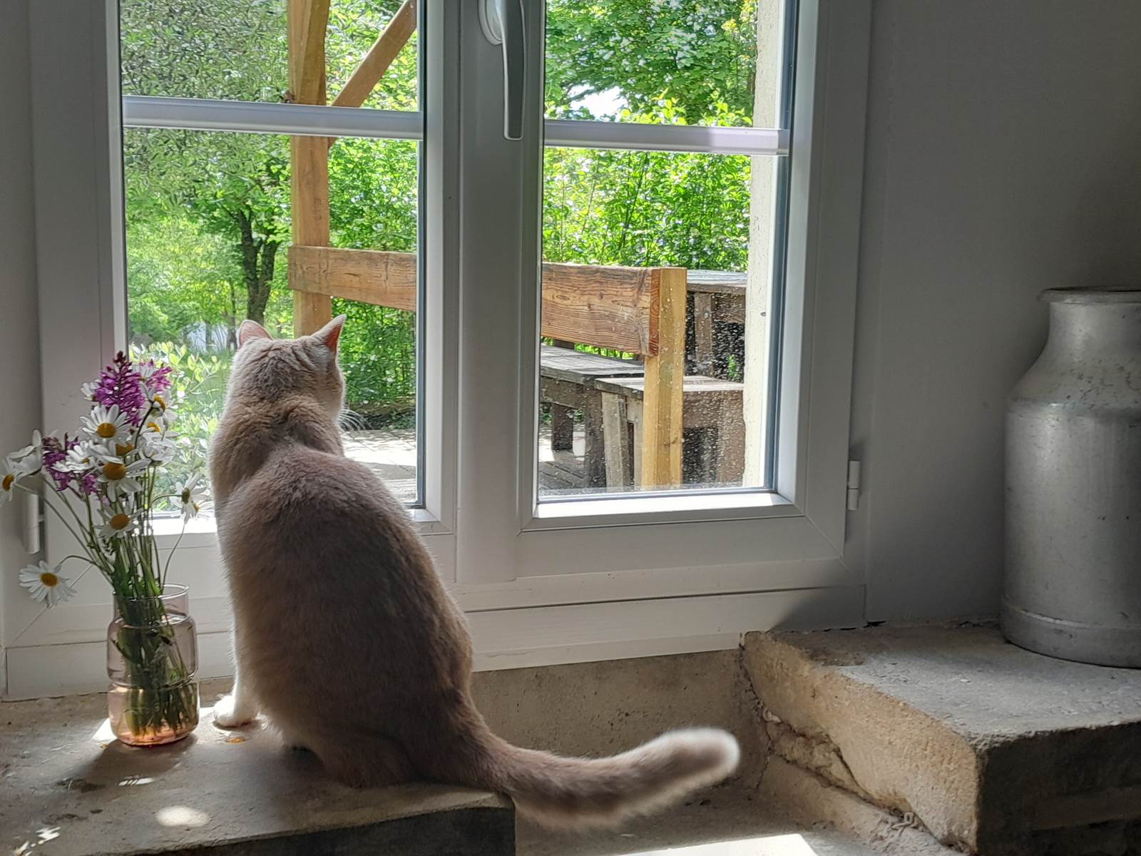 Domaine_de_Calabel©_Pouylebon_vacances_piscine_gers-carousel