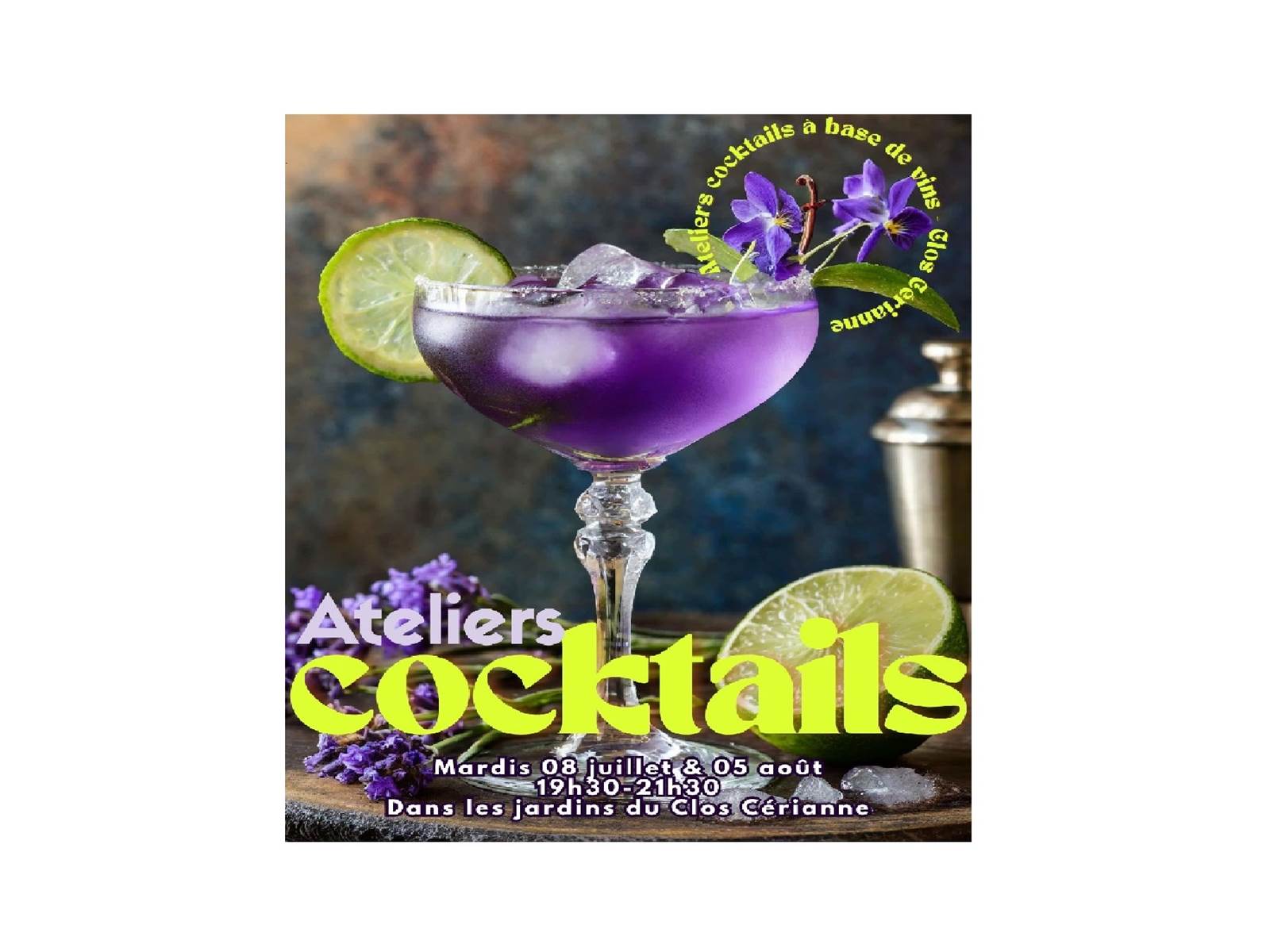VISUEL ATELIERS COCKTAILS FORMAT PHOTO PETIT