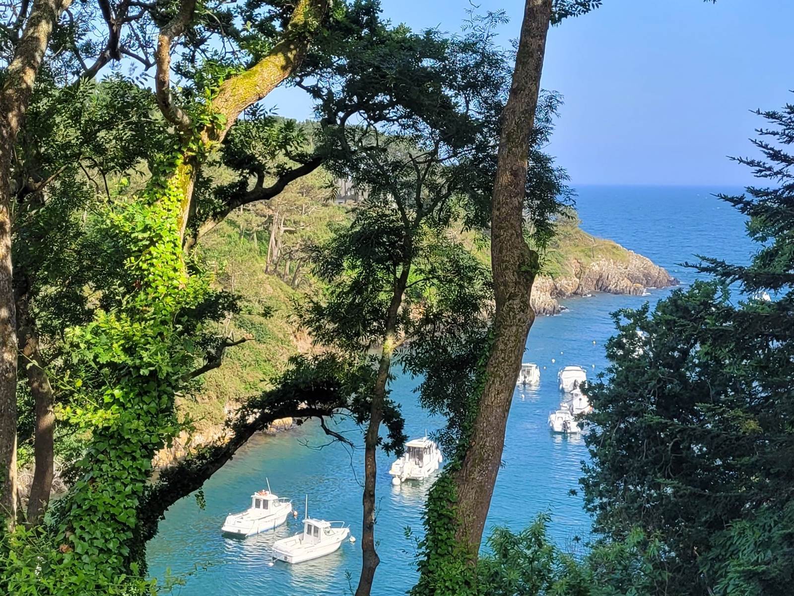 Ria de Brigneau-carousel