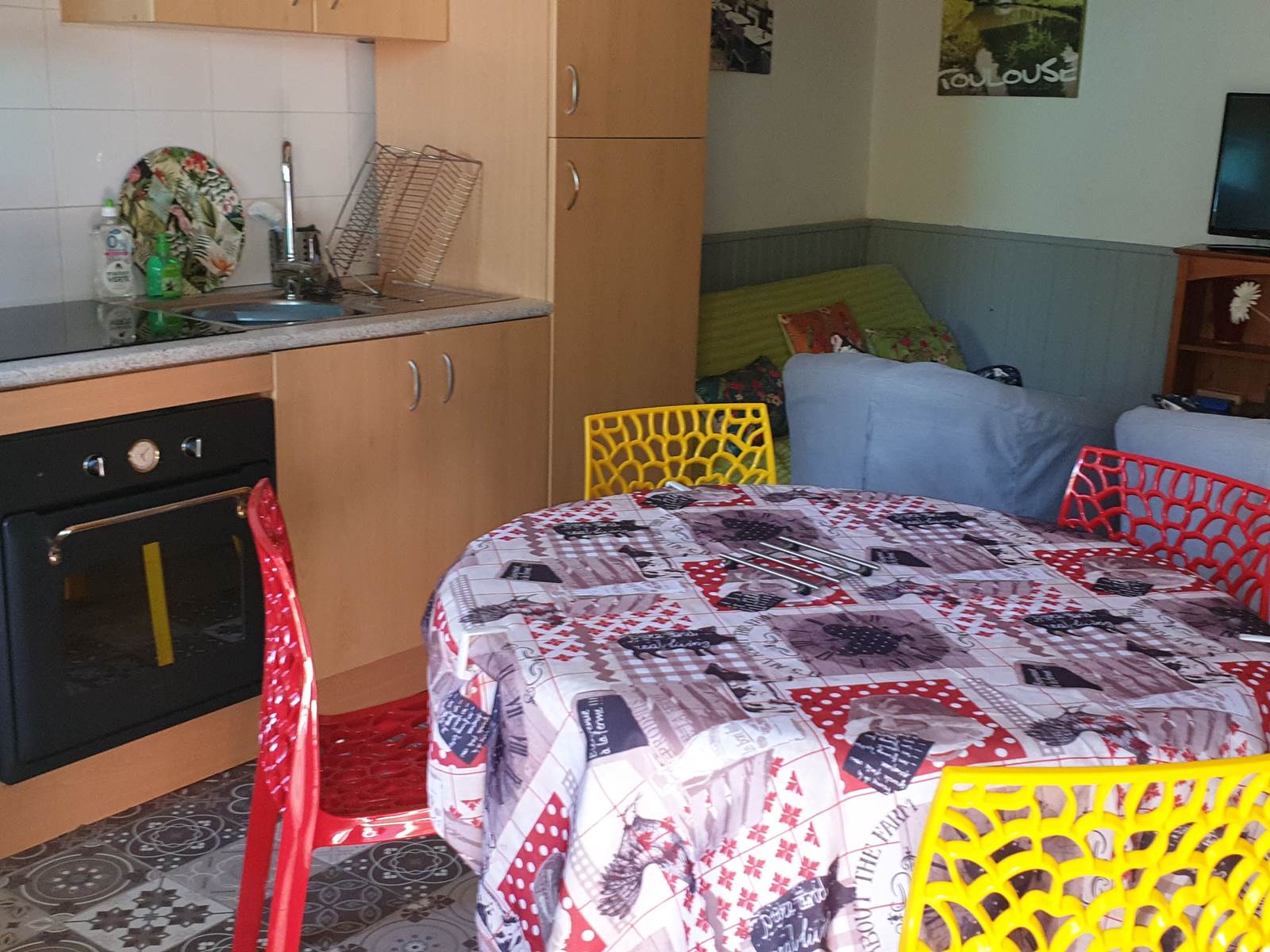 Cuisine équipée, four, micro-ondes, frigidaire, congélateur, plaque à induction, four, machine à laver, sèche-linge. Wifi, climatisation.