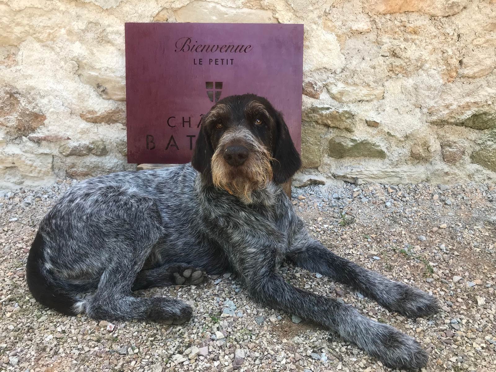 Maître des lieux, toujours poli et bienveillant