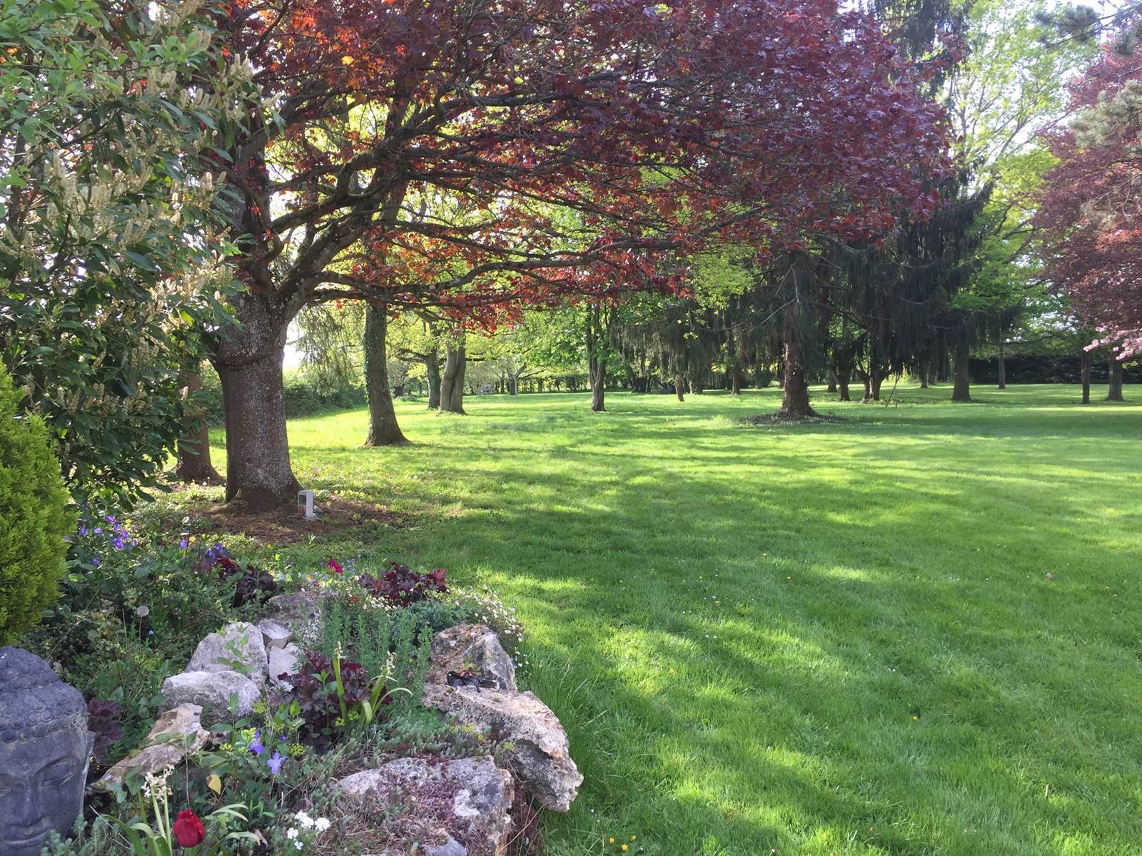 Le Domaine Enchanté - Parc