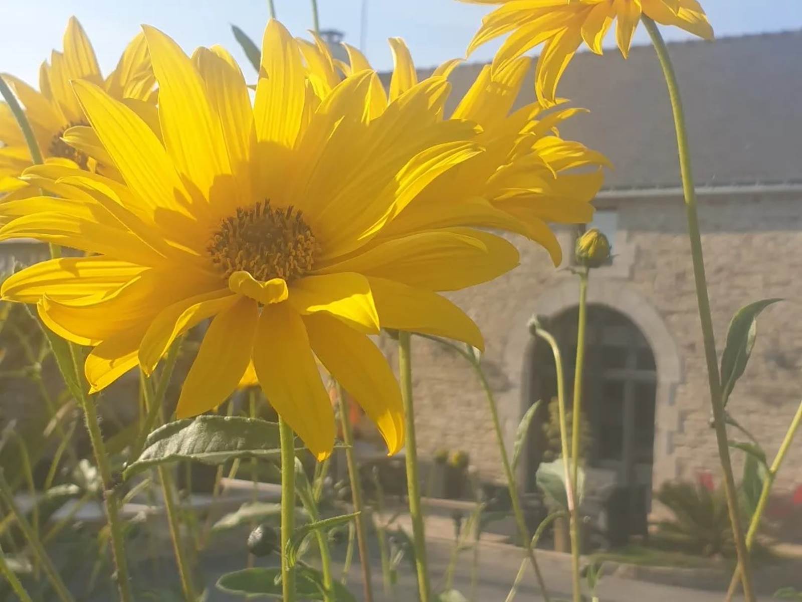 Vue depuis le spa-carousel