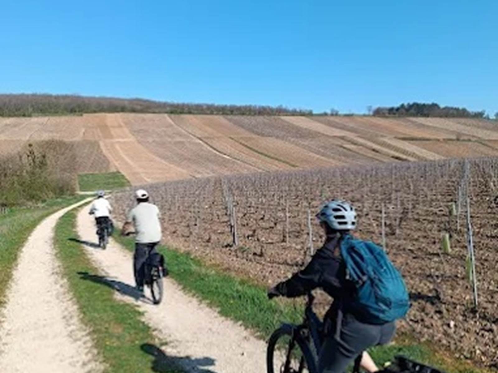 velo