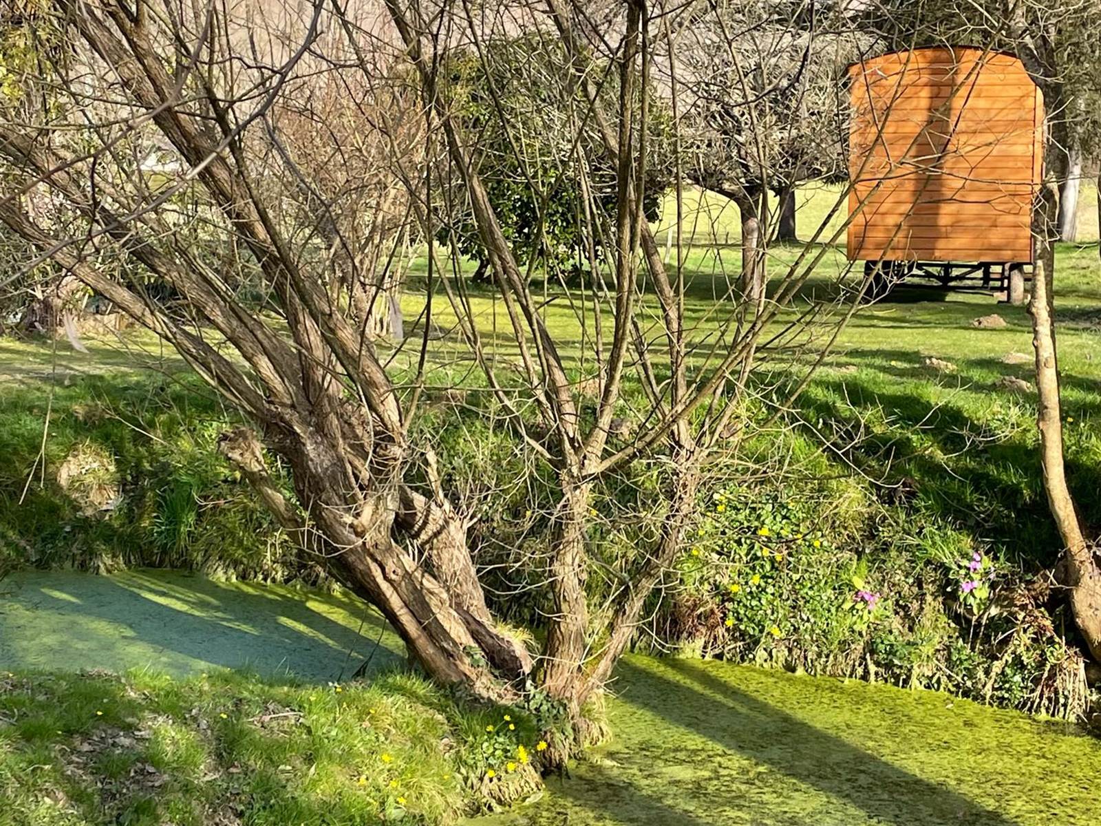 La Palomière vue de dos-carousel
