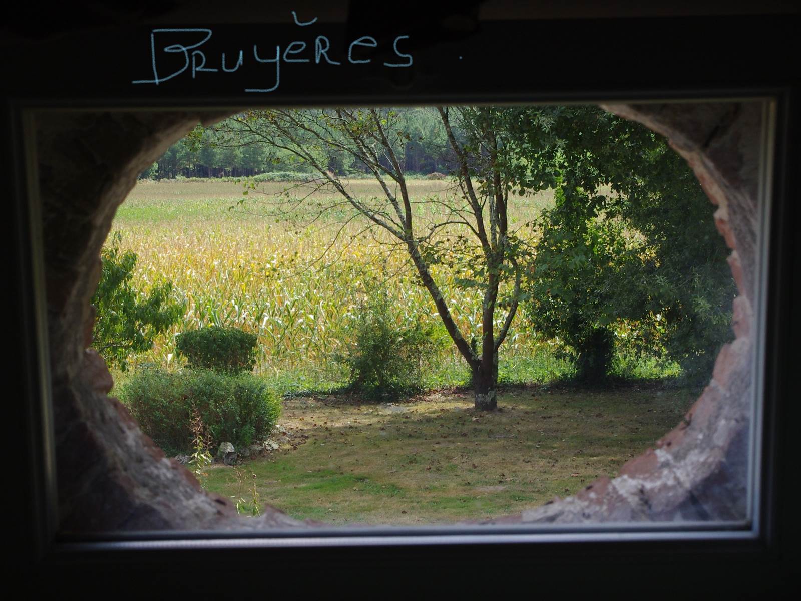 Vue sur les Pyrénées et la campagne de la 1ère chambre