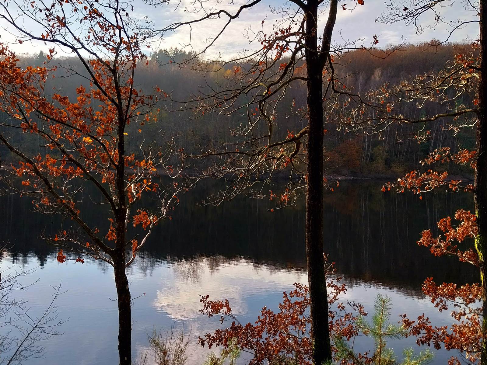 Barrage du Ry de Rome-carousel