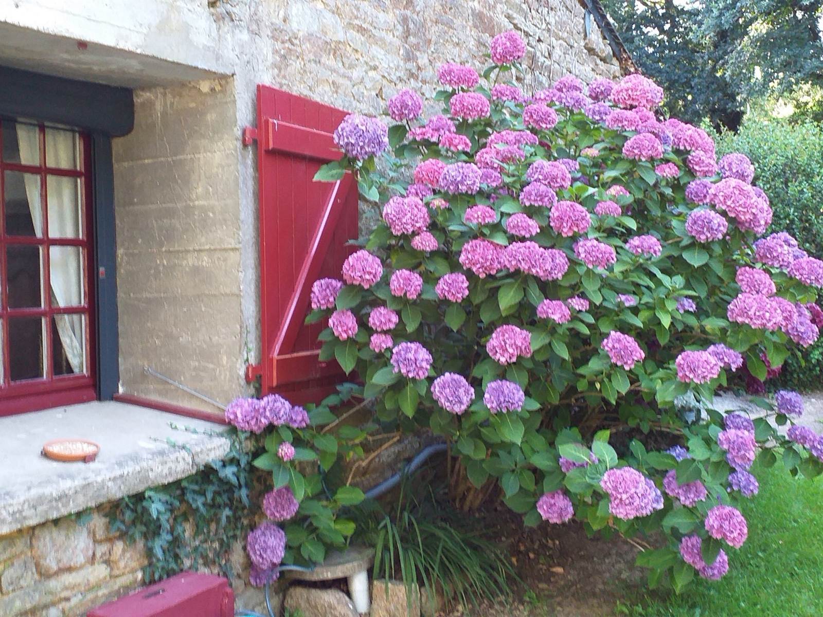 Les Hortensias-carousel