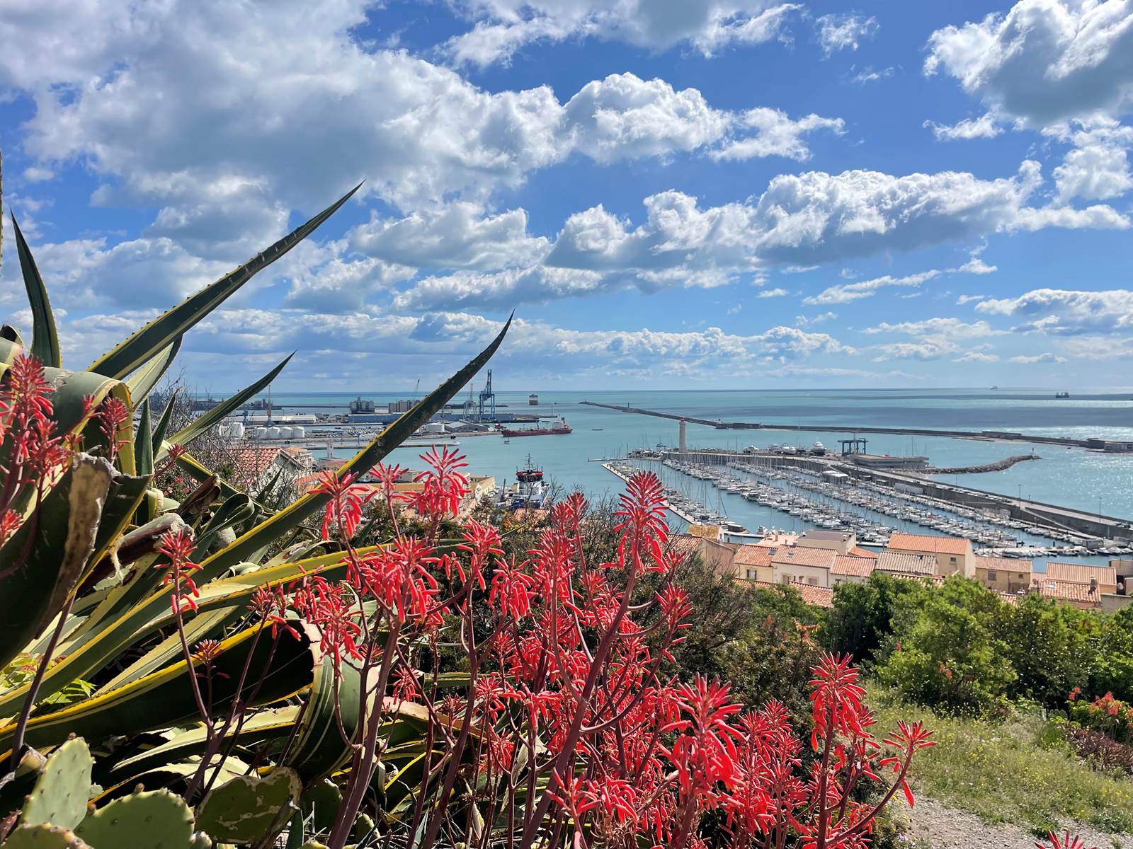 Printemps 24-carousel