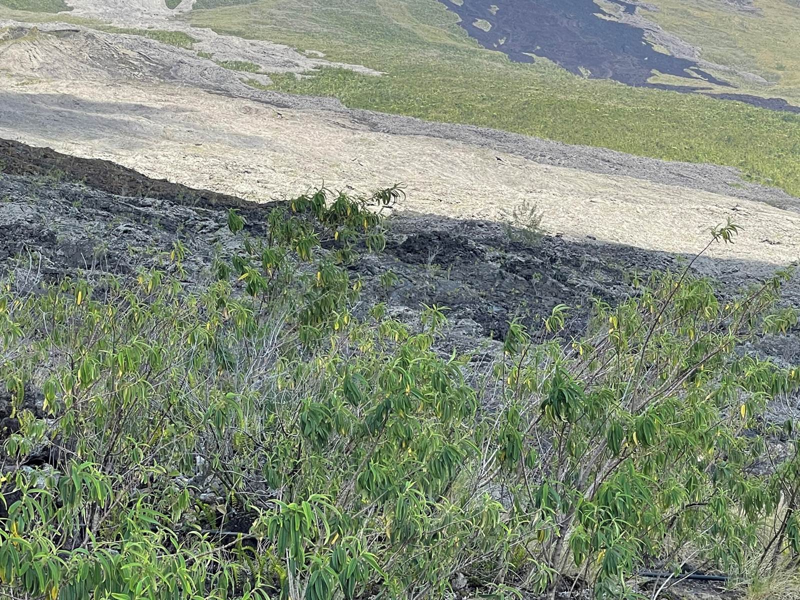 grande-anse-cap-méchant