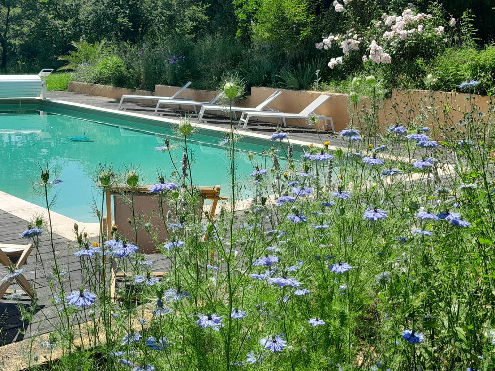 Domaine_de_Calabel©_Pouylebon_vacances_piscine_gers-carousel